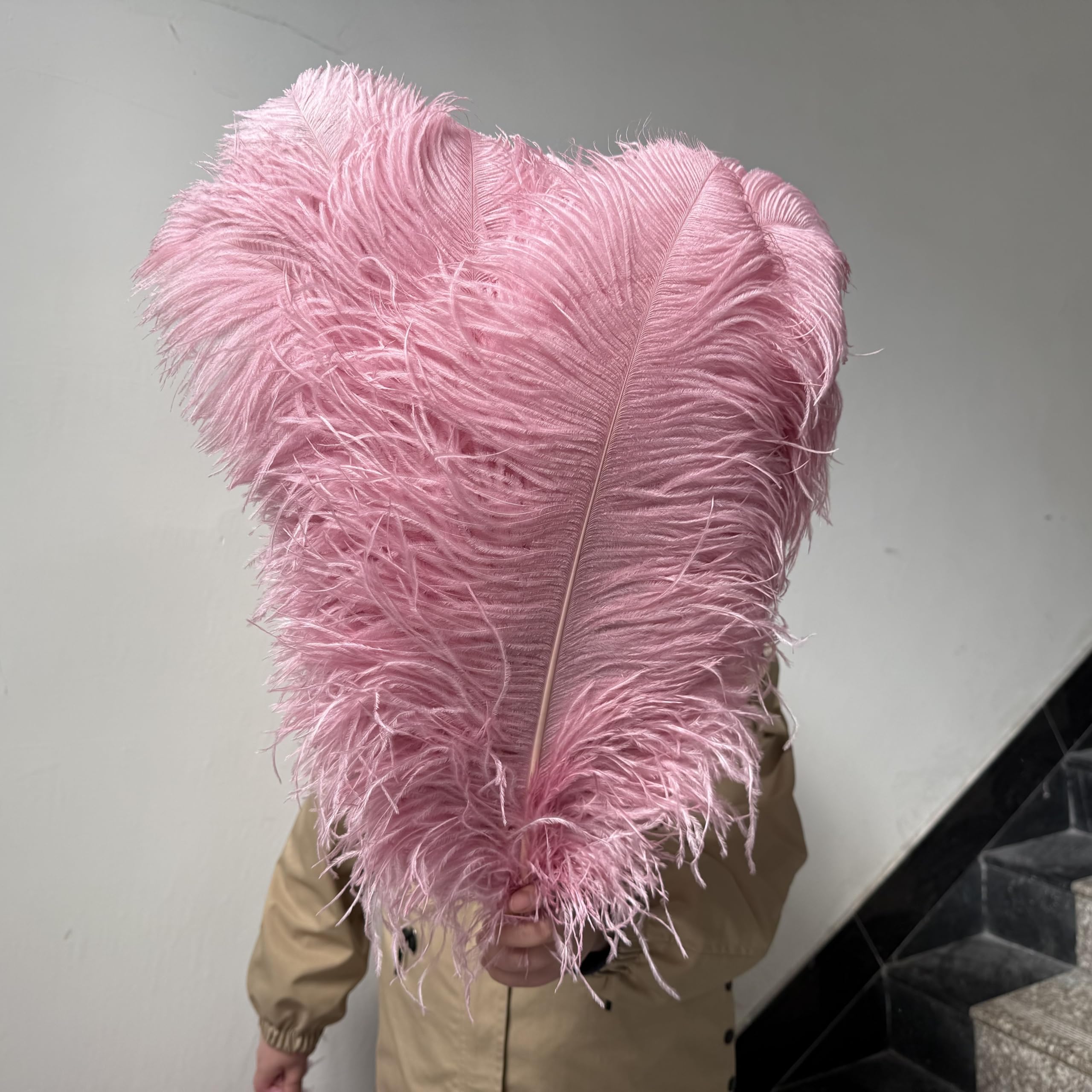 Piume di Struzzo 10 Pezzi di Piume Struzzo 15-55 cm Bianco Rosa Nero pennacchi for la Decorazione della Festa Nuziale Artigianato Fai da Te Materiale Lampada(Pink2,50-55cm)