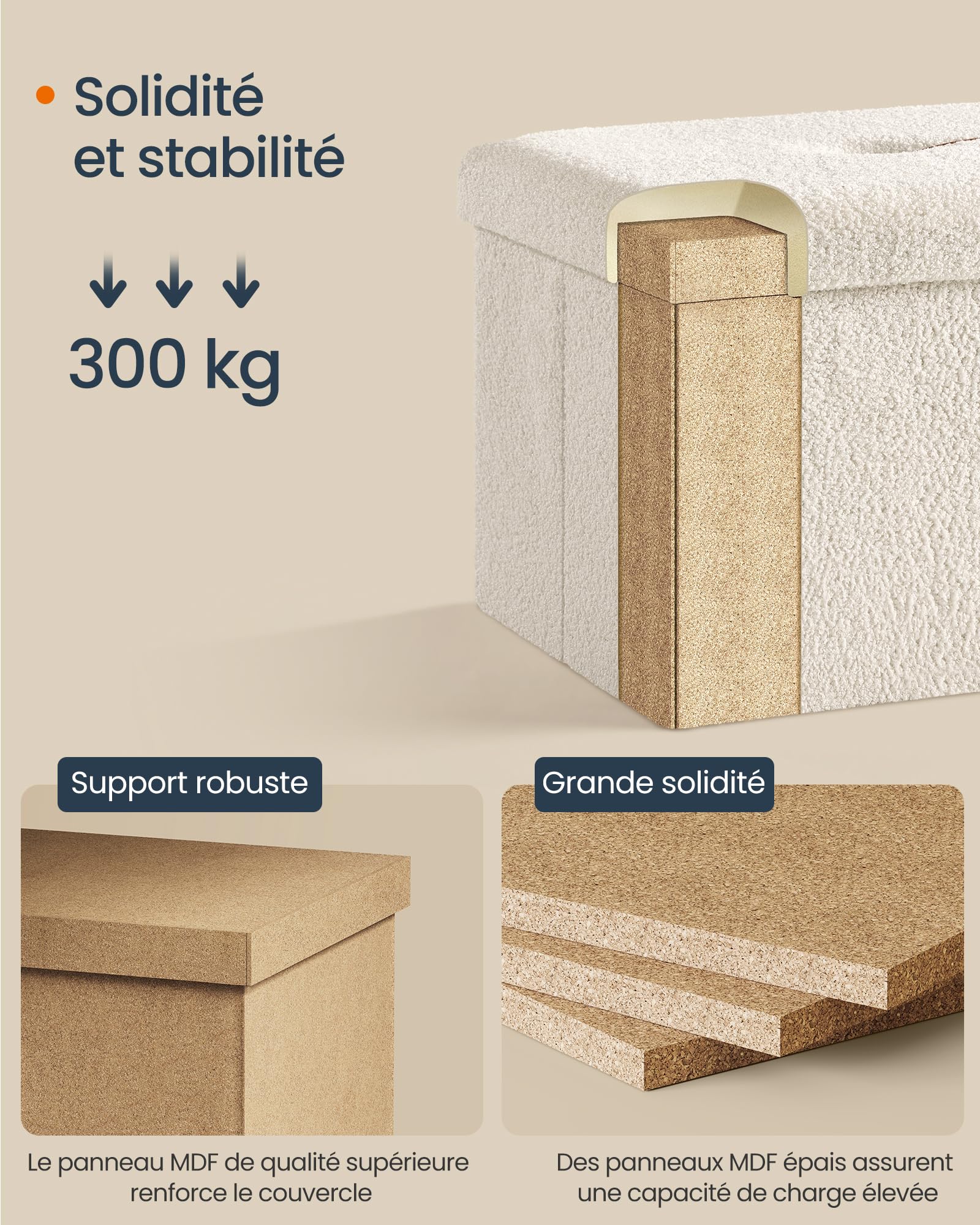 SONGMICS Banc de Rangement, Pouf Pliable, 38 x 76 x 38 cm, Bout de Lit, Repose-Pieds, Cofe de Rangement, Charge jusqu'à 300 kg, pour Salon, Chambre, Entrée  1503