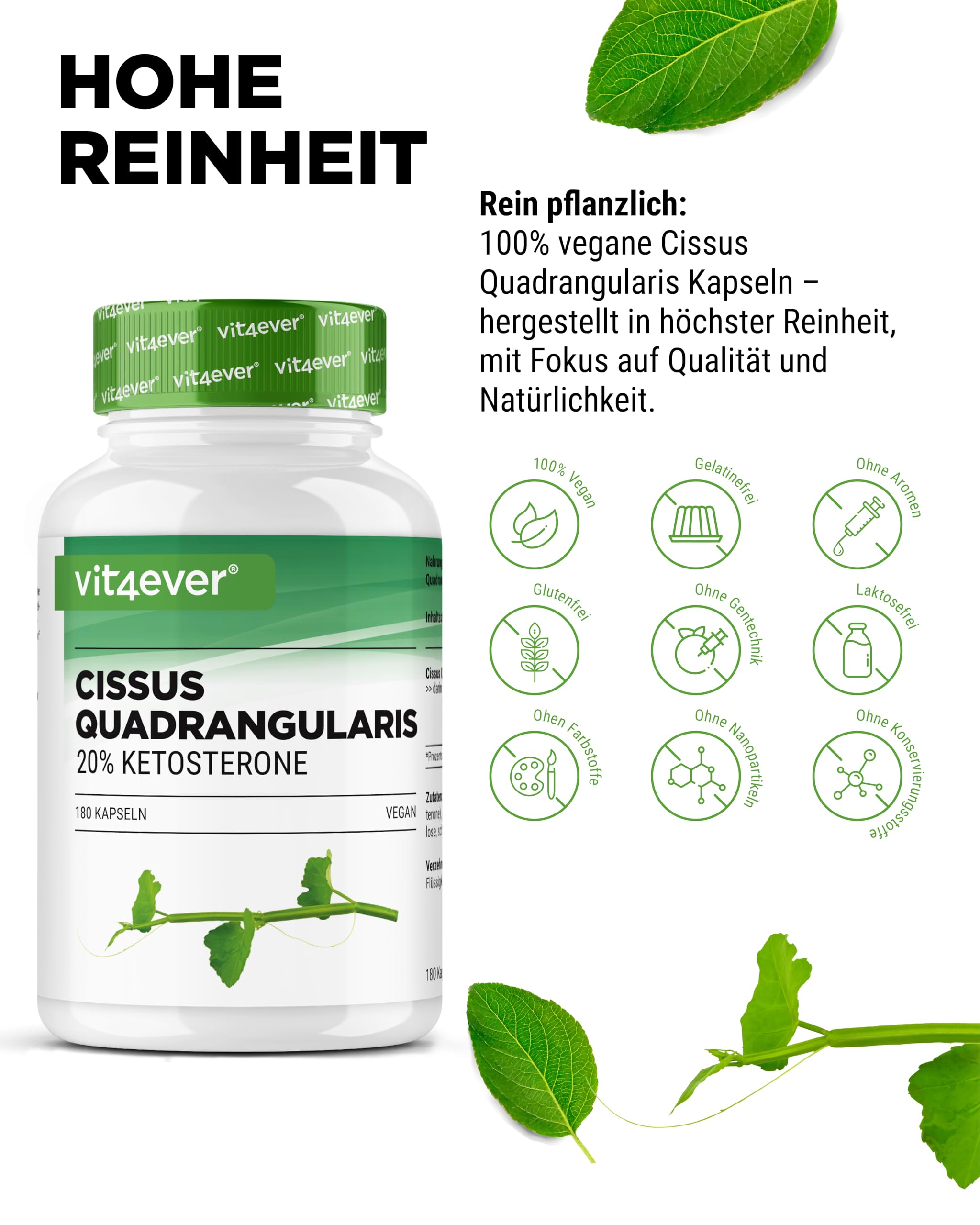 vit4ever Cissus Quadrangularis - 180 Kapseln - 700mg - 20% Ketosterone | 700mg Extrakt pro Kapsel, 140mg Ketosterone, 6 Monate Vorrat