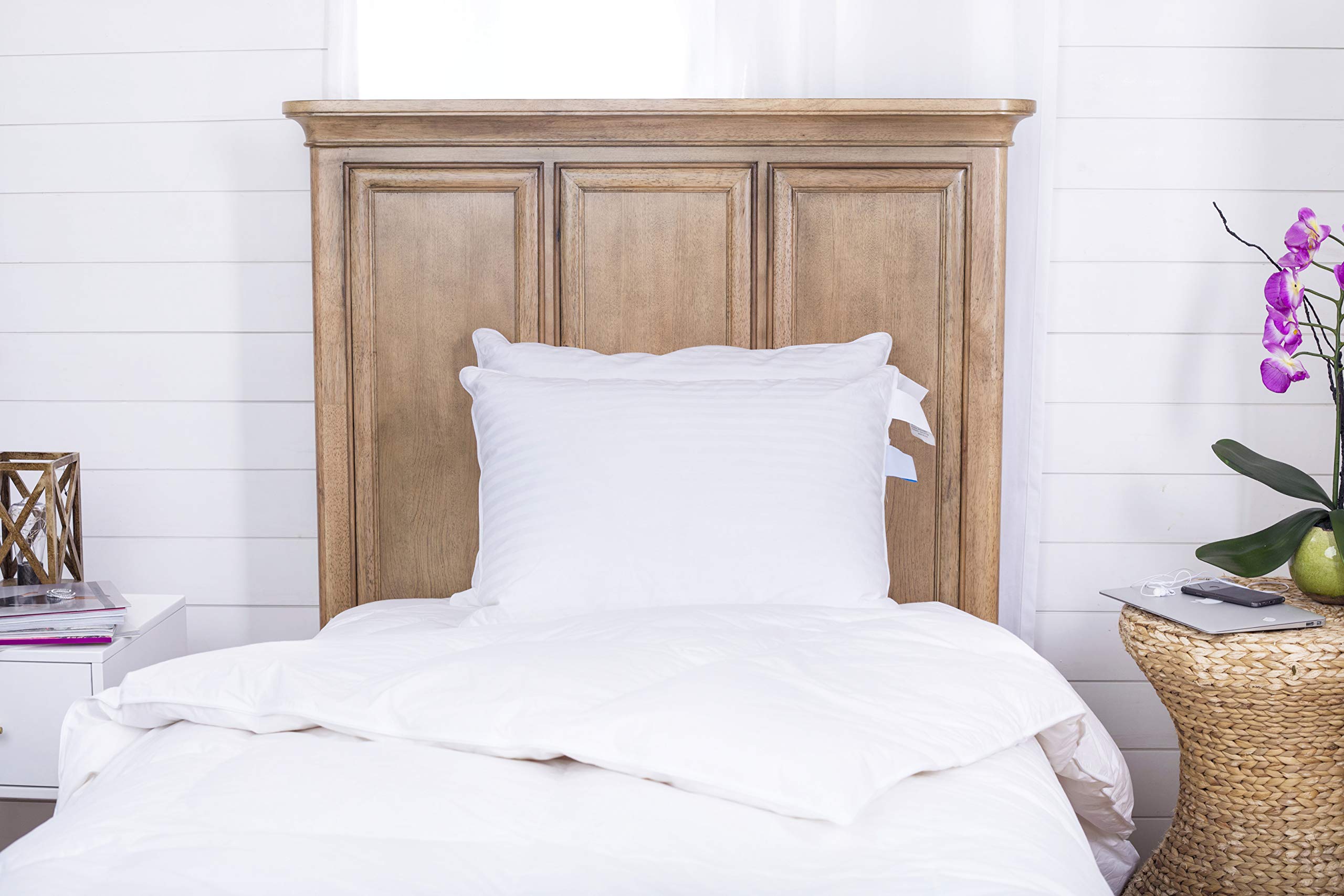 Buy East Coast Bedding Down Pillows Set of 2 100 Real White Down