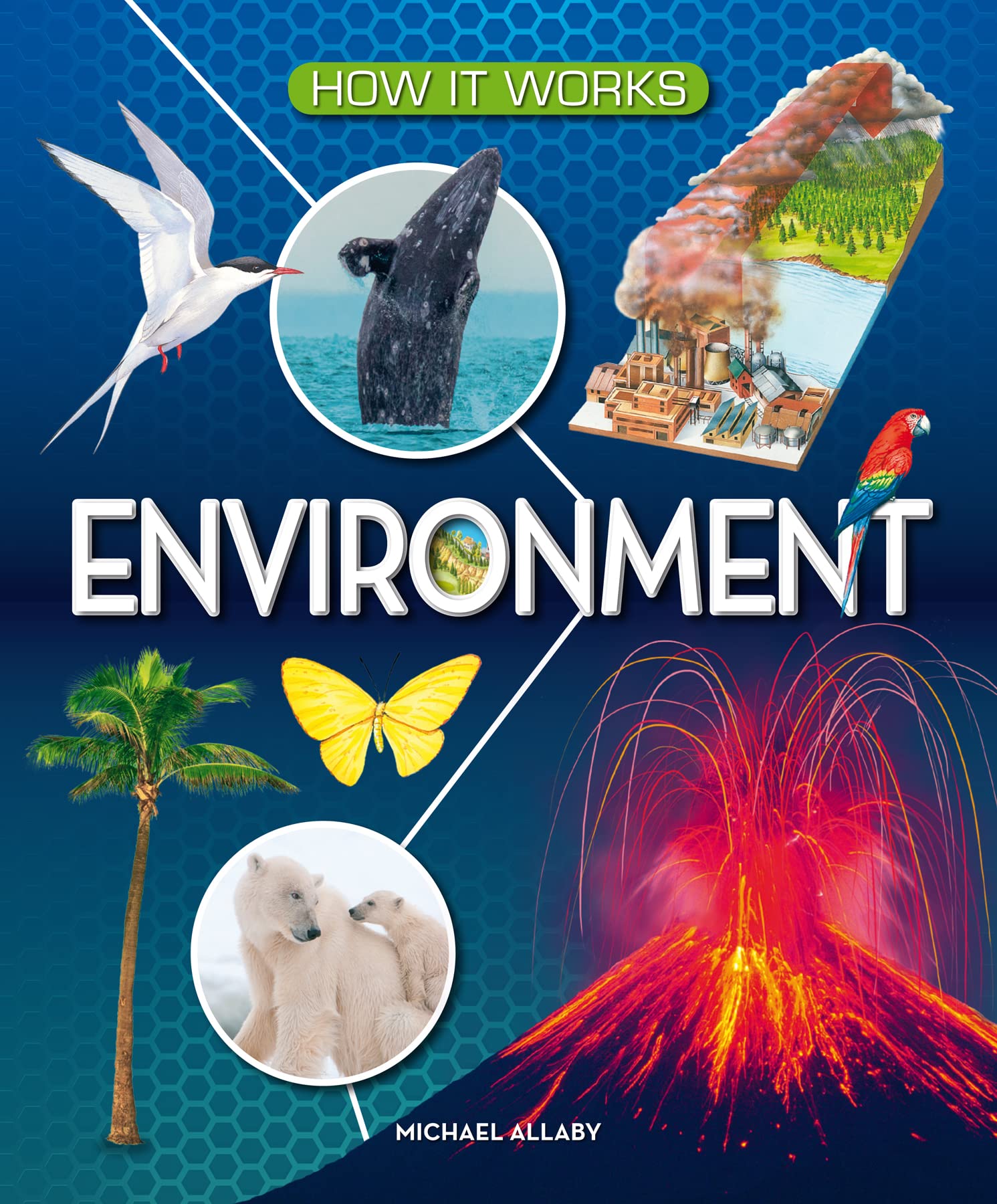 Award Publications Ltd How It Works: Environment Book