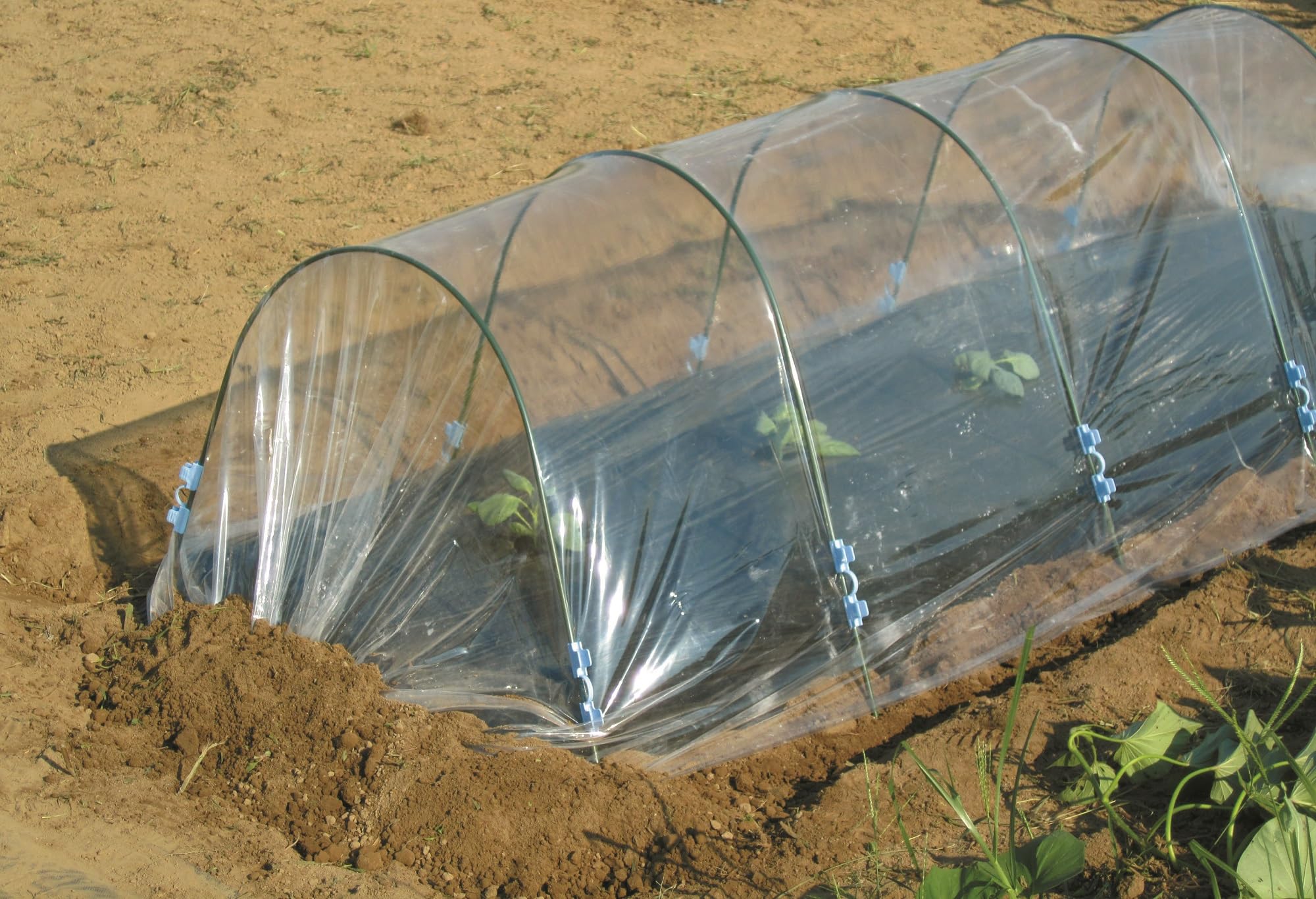【人気商品】家庭菜園用ビニール 厚さ0.1mm 幅300mm 長さ10m 第一ビ Amazon | 家庭菜園用ビニール 厚さ0.1mm 幅300mm 長さ10m 第一ビニール
