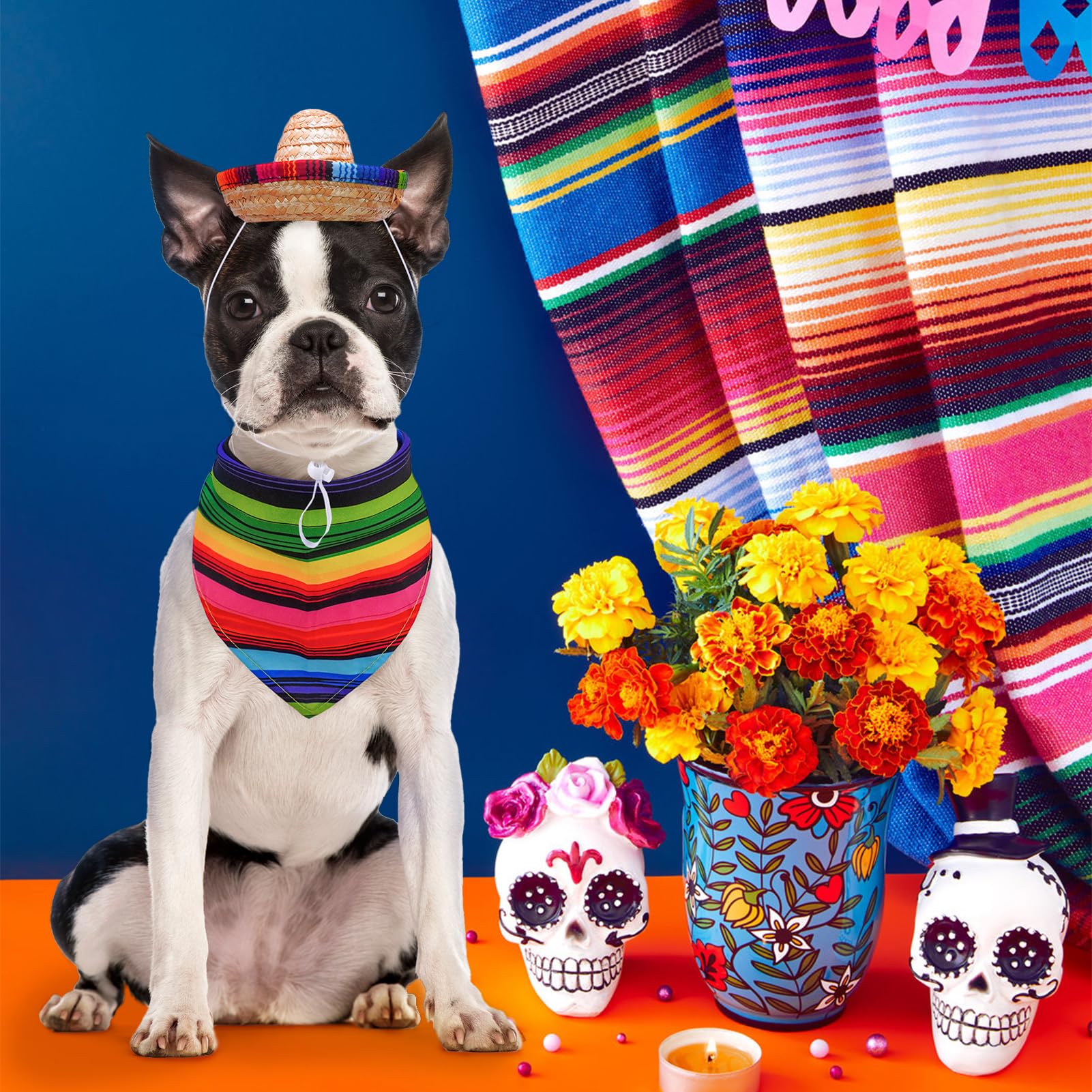 SCENEREAL Set costume di Halloween per cane, cucciolo messicano, gattino festivo, cappello a bandana con mantello, set da 3 pezzi, taglia S
