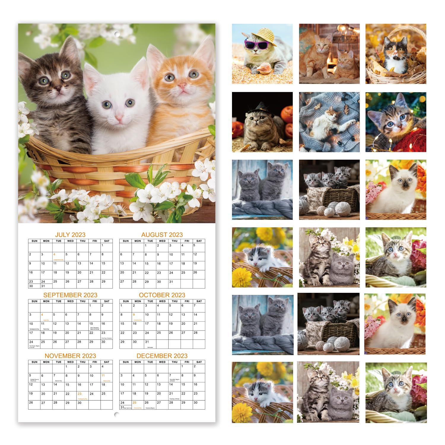 2024 Kalender, 2024 Kitty Calendar, Cat Wall Calendar 2024, 12 månaders kattkalenderpresenter