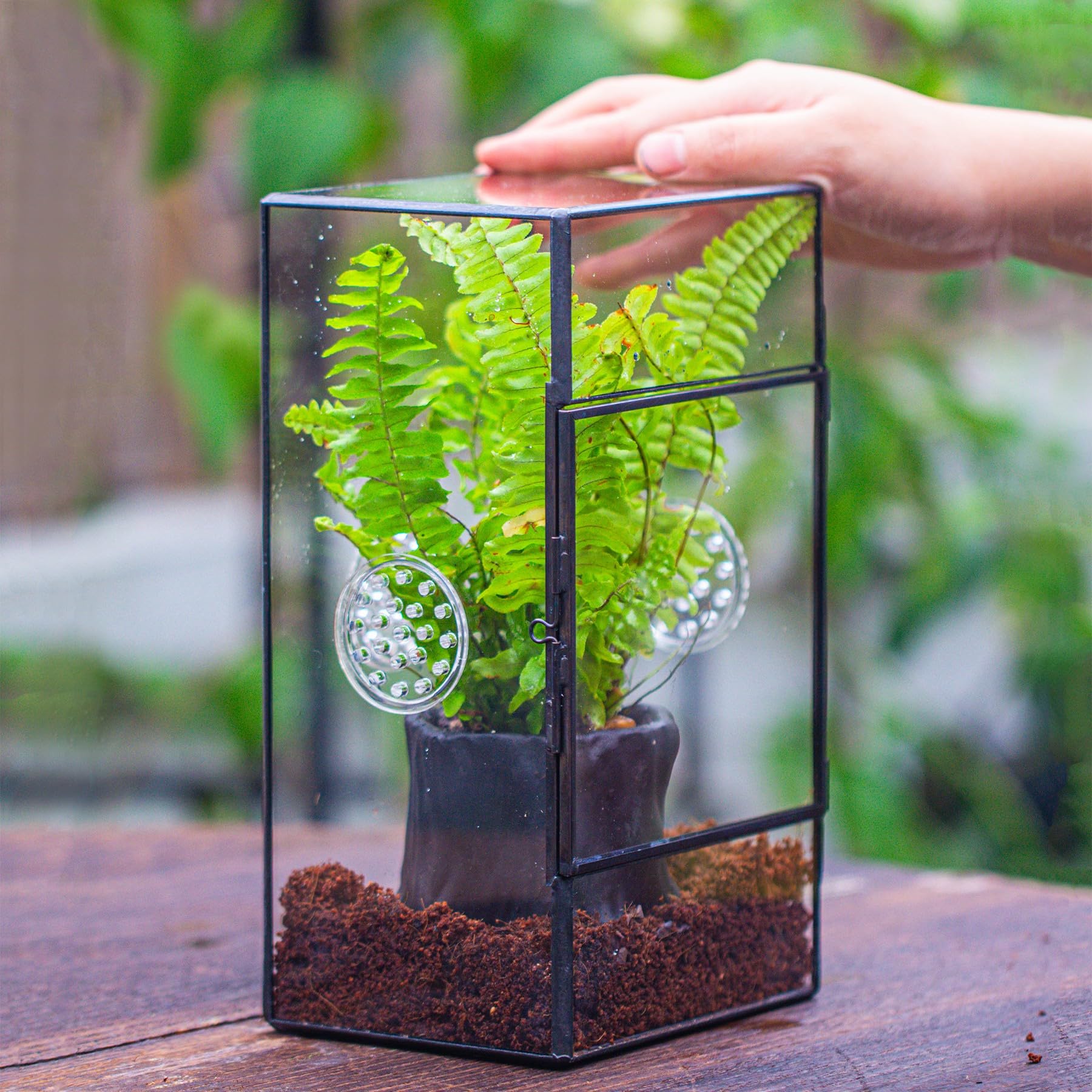 NCYP Terrario rettangolare in vetro con porta laterale e tre fori di ventilazione fatto a mano,13x10x23 cm, nero geometrico terraio per piccoli insetti, decorazione per casa e giardino (solo terrario)