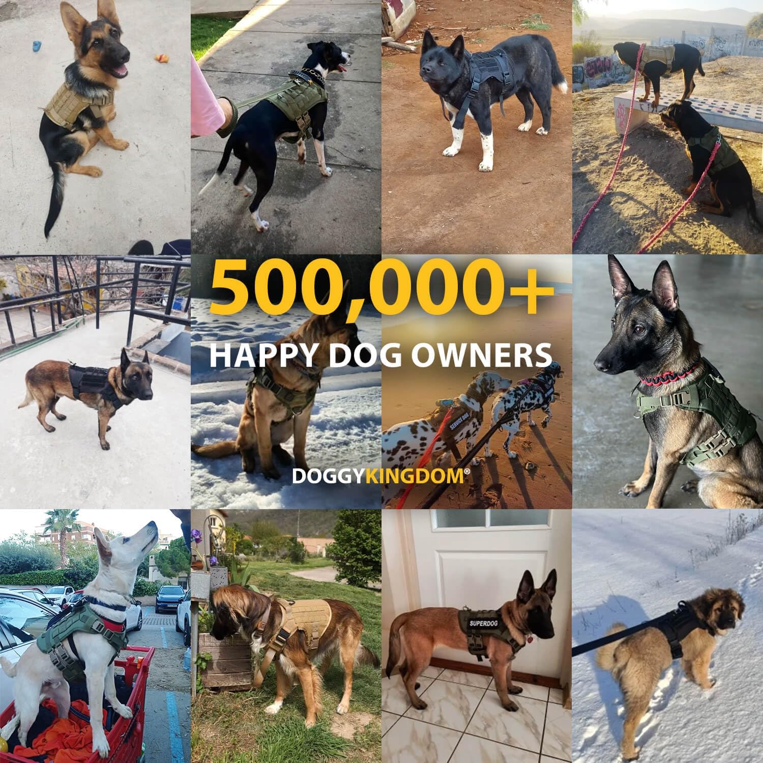 Personalized Tactical Dog Harness for Large Dogs with Custom Name and Phone Number, Adjustable No Pull Service Dog Vest with Handle for Heavy Duty Small Medium Extra Large Sized Dog - Camouflage S