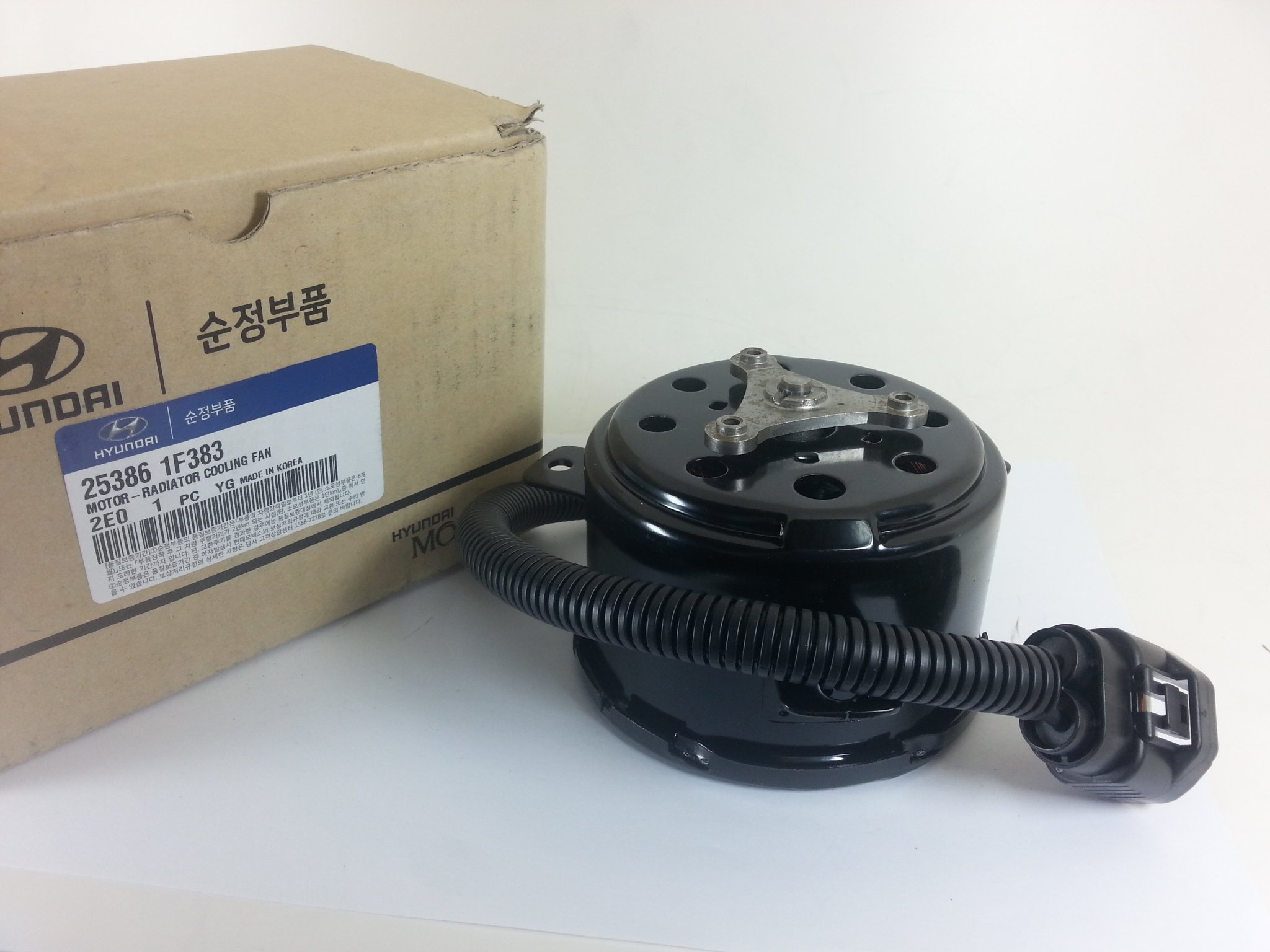 フク Genuine Hyundai 25386-1F380 Radiator Cooling Fan Motor