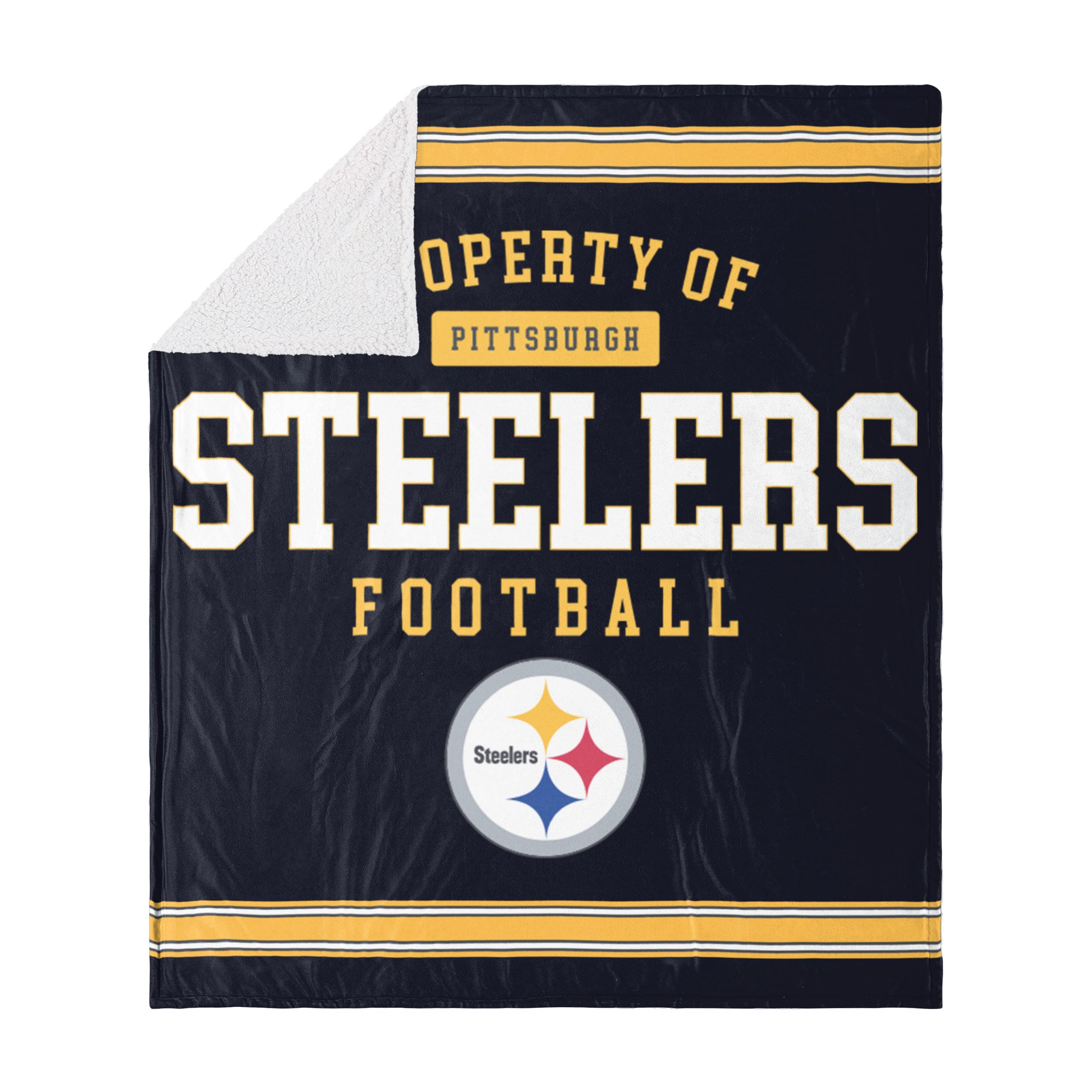 FOCO NFL Unisex-Adult NFL Plush Throw