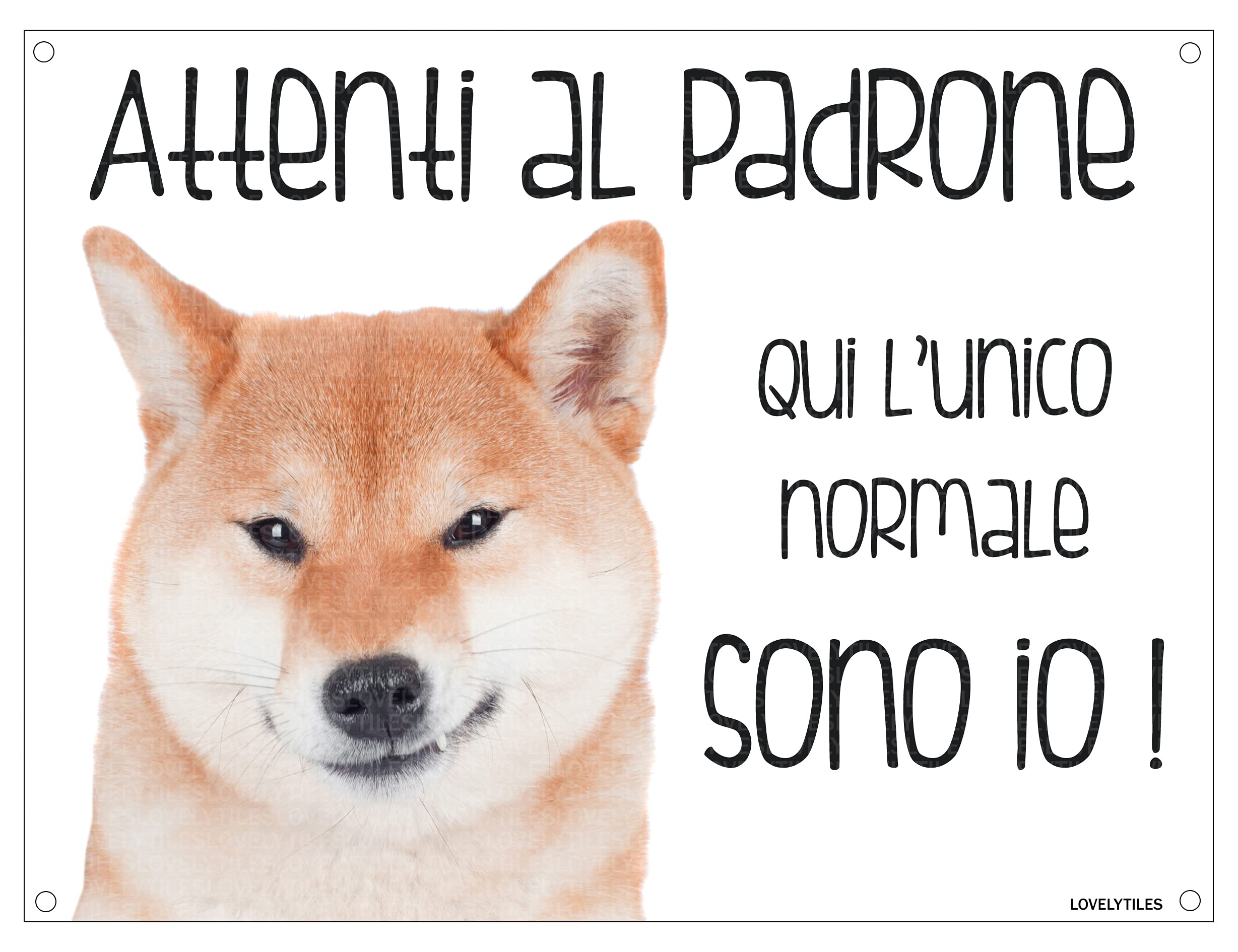LUPO CECOSLOVACCO Cartello Attenti Al Cane - Targa In Metallo 15x20cm, Per Esterni, Avviso Sicurezza