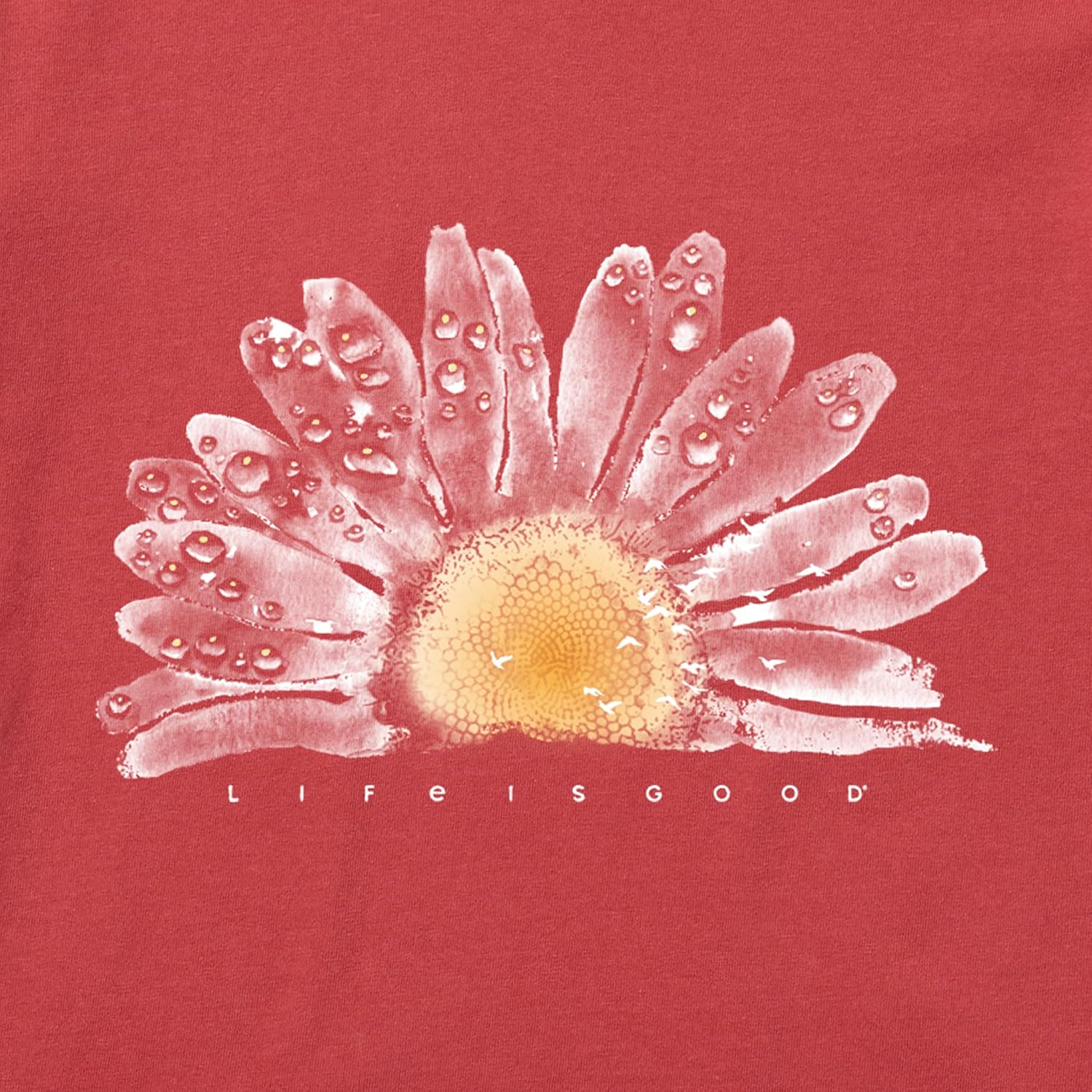 Life is Good Women's Crusher Flower Graphic V-Neck T-Shirt, Multiple Sizes, Multiple Colors : Clothing, Shoes & Jewelry