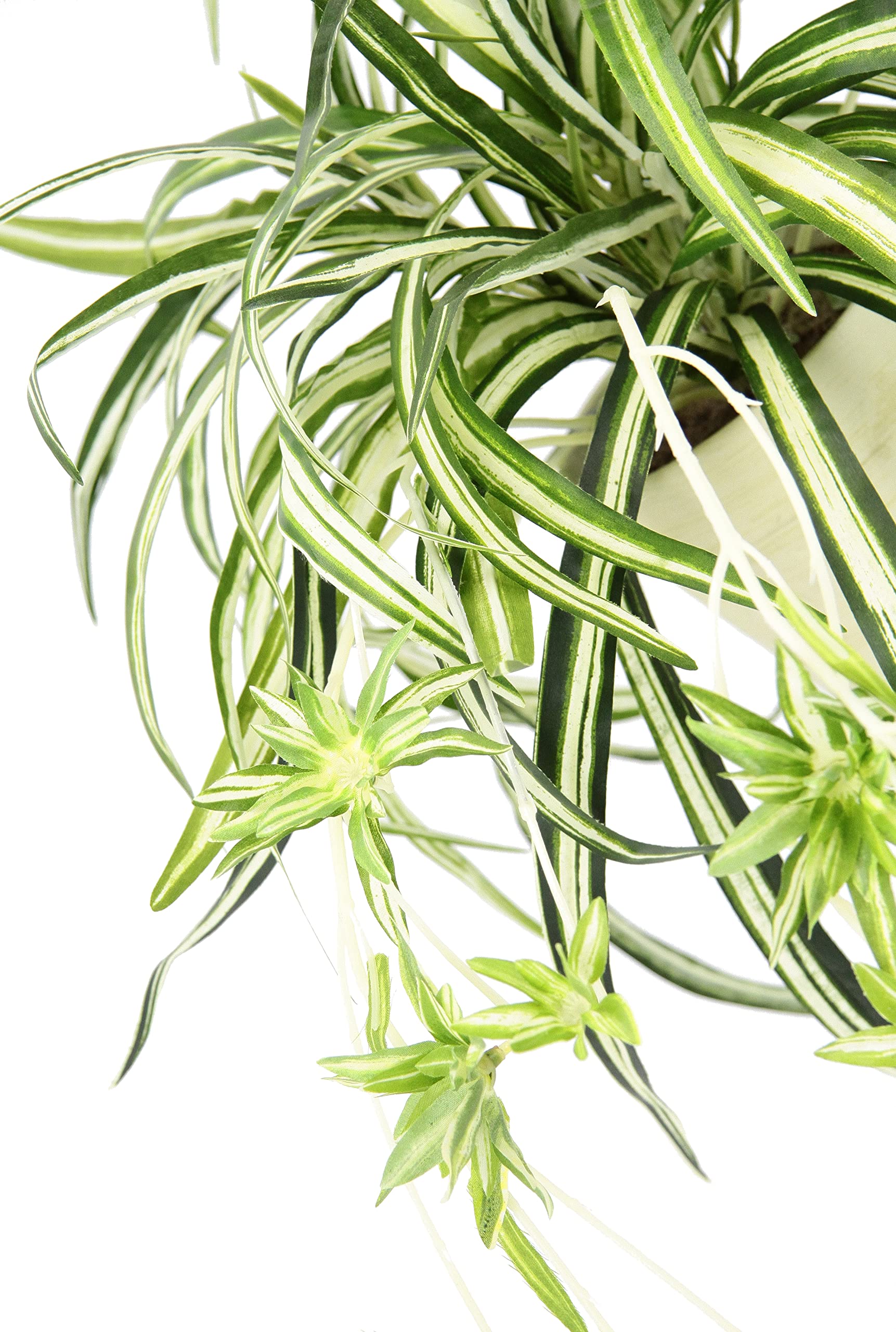 Kunstmatige kamerplant, groene lelie in pot, chlorophytum, waterlelie, spinnenplant, spinnenlelie, hangplant, kunstplant, hangende plastic plant