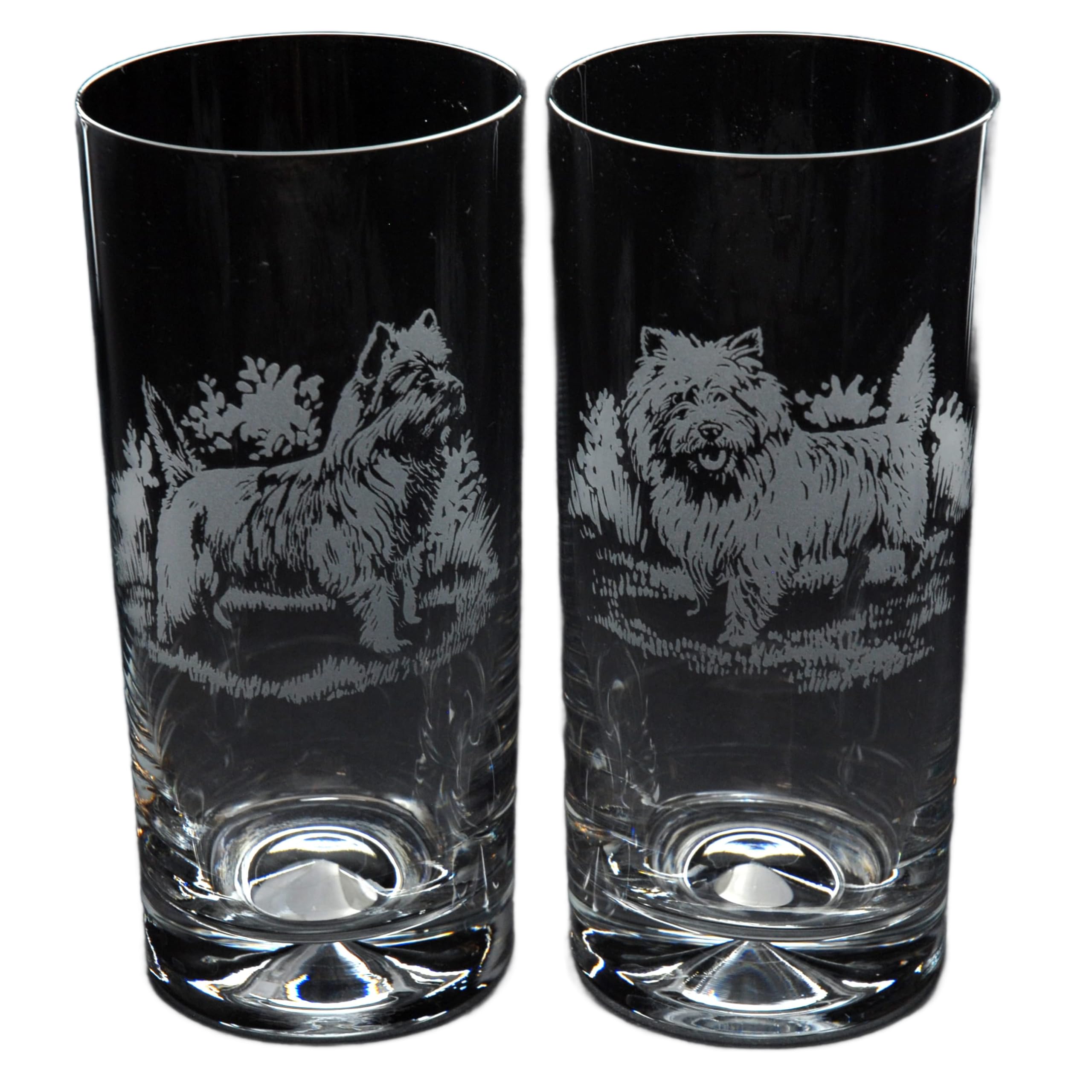 GLYPTIC Glass Art Cairn Terrier Dog Placement Hand Etched/Engraved Highball Glass