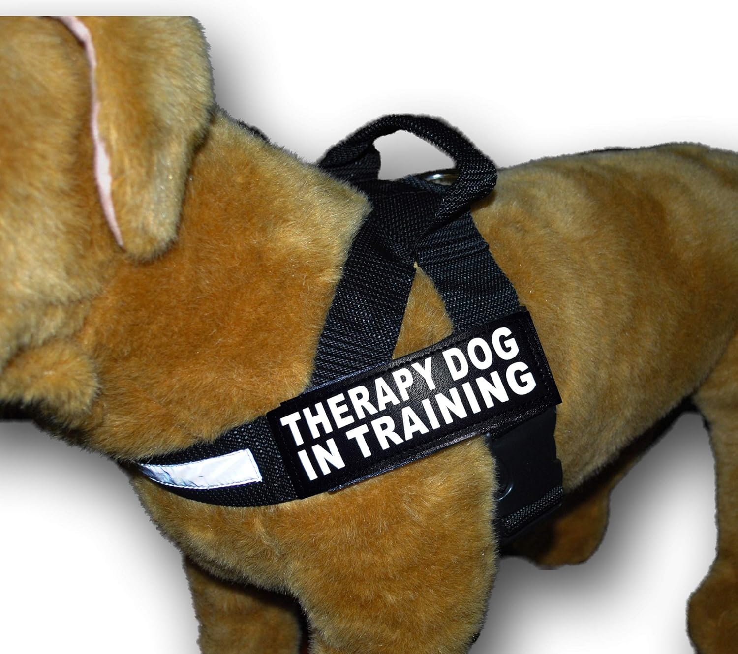 Therapy Dog in Training Nylon Harness No Pull Guide Assistance Comes with 2 Reflective Therapy Dog in Training Removable Reflective Patches. Please Measure Your Dog Before Ordering.