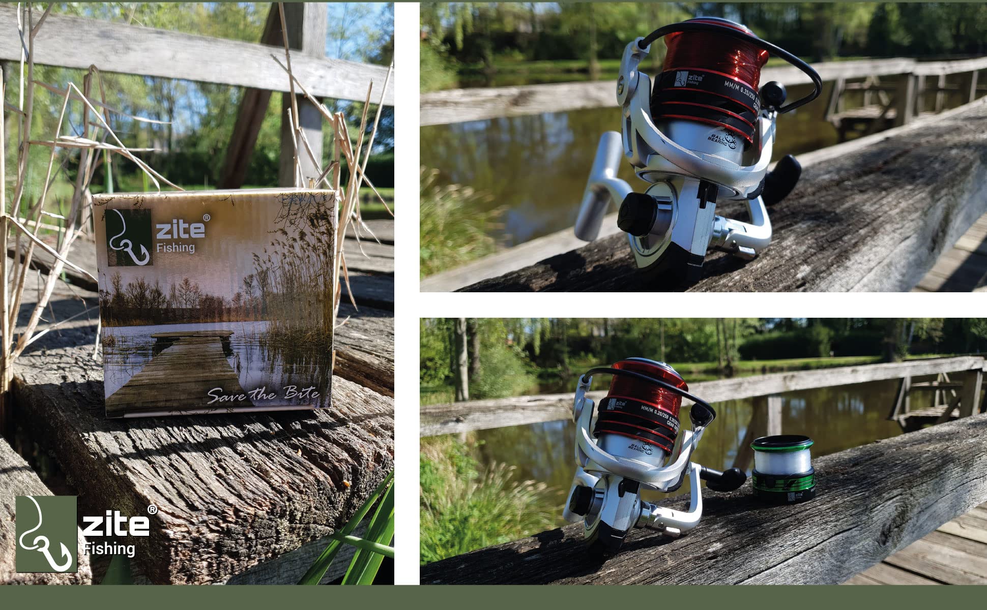 Zite Fishing Feeder-Angel-Set | Feederrute 3,30m 20-120g Wurfgewicht | ideal für Futterkorb-Angeln | Allround-Rolle bespult 3000 3BB | 2 Alu-Spulen