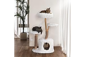 Kbspets Modern Cat Tree: A Natural Haven for Your Feline Friends
