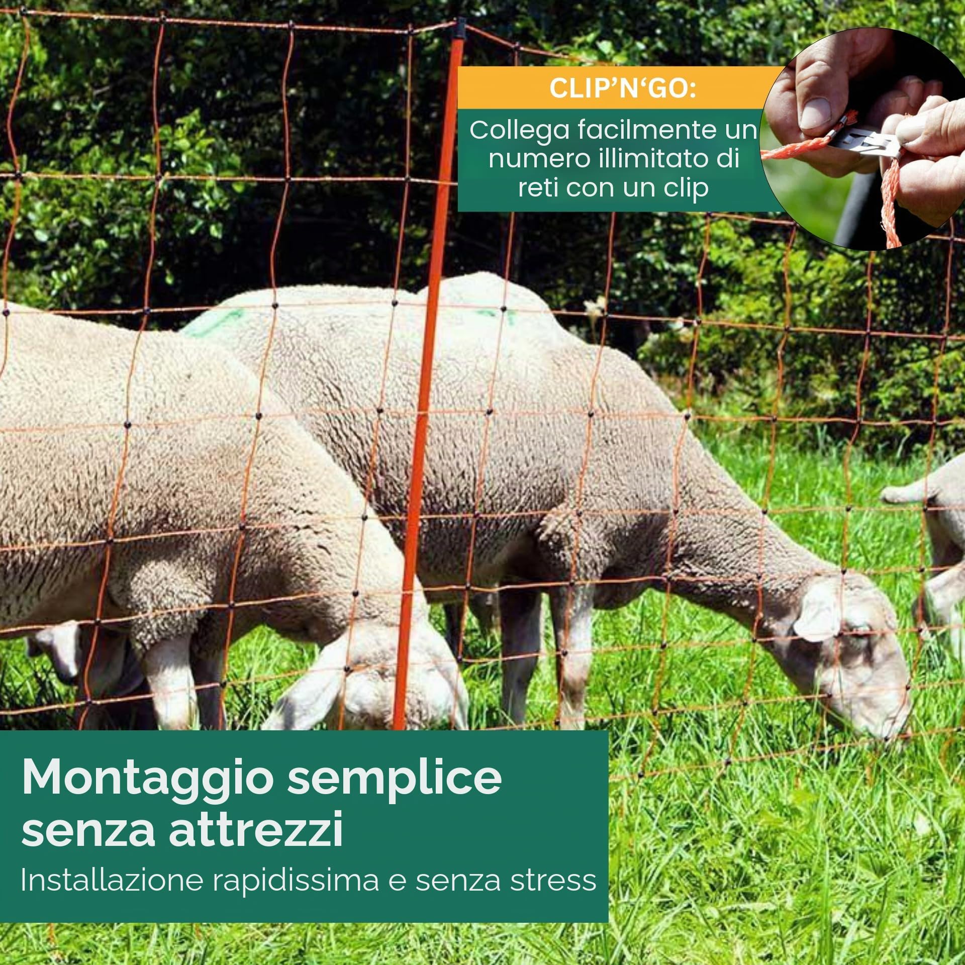 Agrarzone Rete per pecore elettrificabile Classic 50 m x 108 cm - Robusta e visibile, con doppia punta - Ideale per pecore, capre, agnelli, cani e pollame