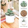 Product Photo 4