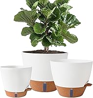 Fielda 8/10/12 Inch Self-Watering Planter Pots - Indoor/Outdoor Plastic Pots with Water Level Indicator, Drainage & Deep Reservoir (White)