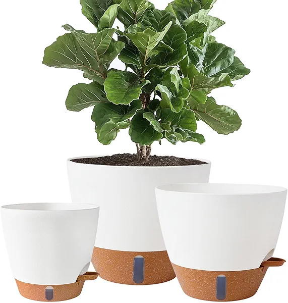 Fielda 8/10/12 Inch Self Watering Pots for Indoor/Outdoor Plants - Large Plastic Planter with Drainage Holes, Water Level Indicator & Deep Reservoir, Modern Decorative Flower Pots (White)