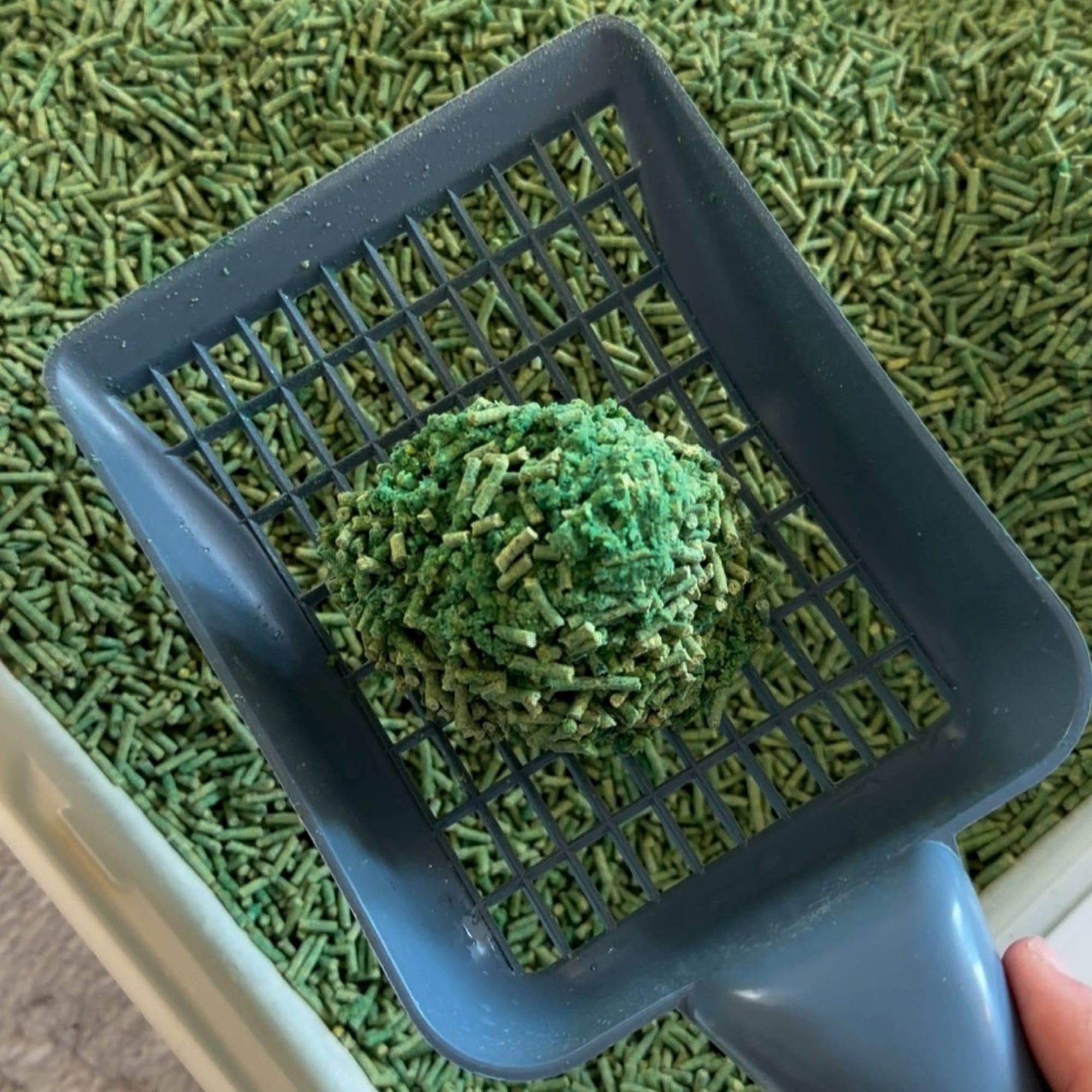 Tofu Katzenstreu 30 kg/80L (10 Säcke je 3 kg) – Schnell klumpend & staubfrei – 100% pflanzlich, biologisch abbaubar – Leichtes Klumpstreu mit Geruchskontrolle, im WC entsorgbar.