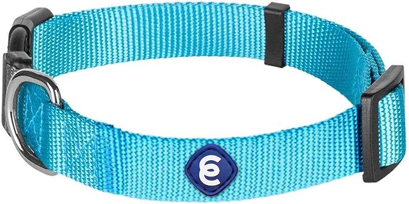 Blueberry Pet Essentials Collar grande para perros en turquesa | Correa de nylon duradera ajustable y ecológica | Collar clásico para perros grandes, niños y niñas