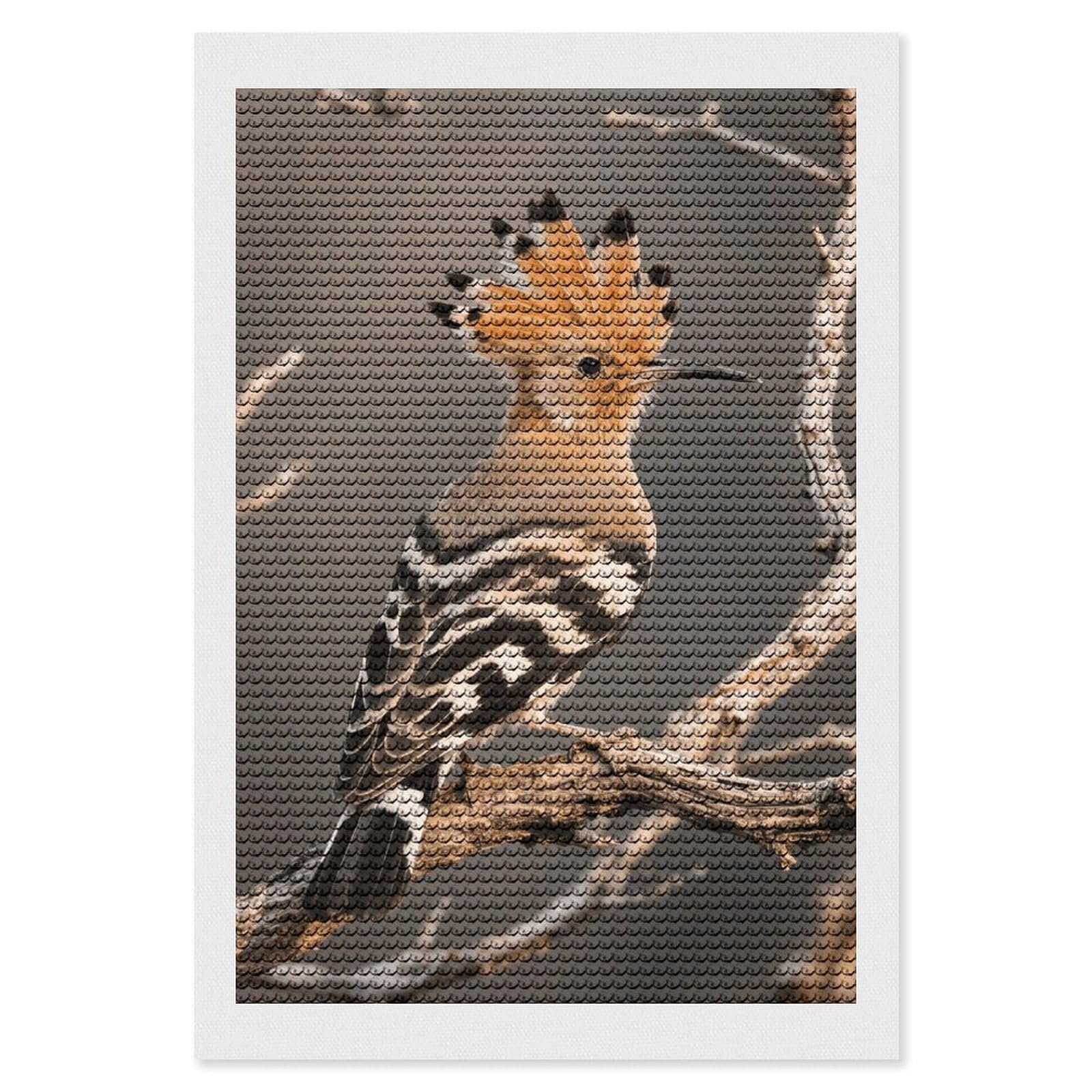 FodPand Hoopoe 5D Diamond Painting Kits for Adults Beginners Full Drill Round Diamond Dots Pictures Gem Art Supplies for Home Wall Room Decoration DIY Craft Set Gift 8x12
