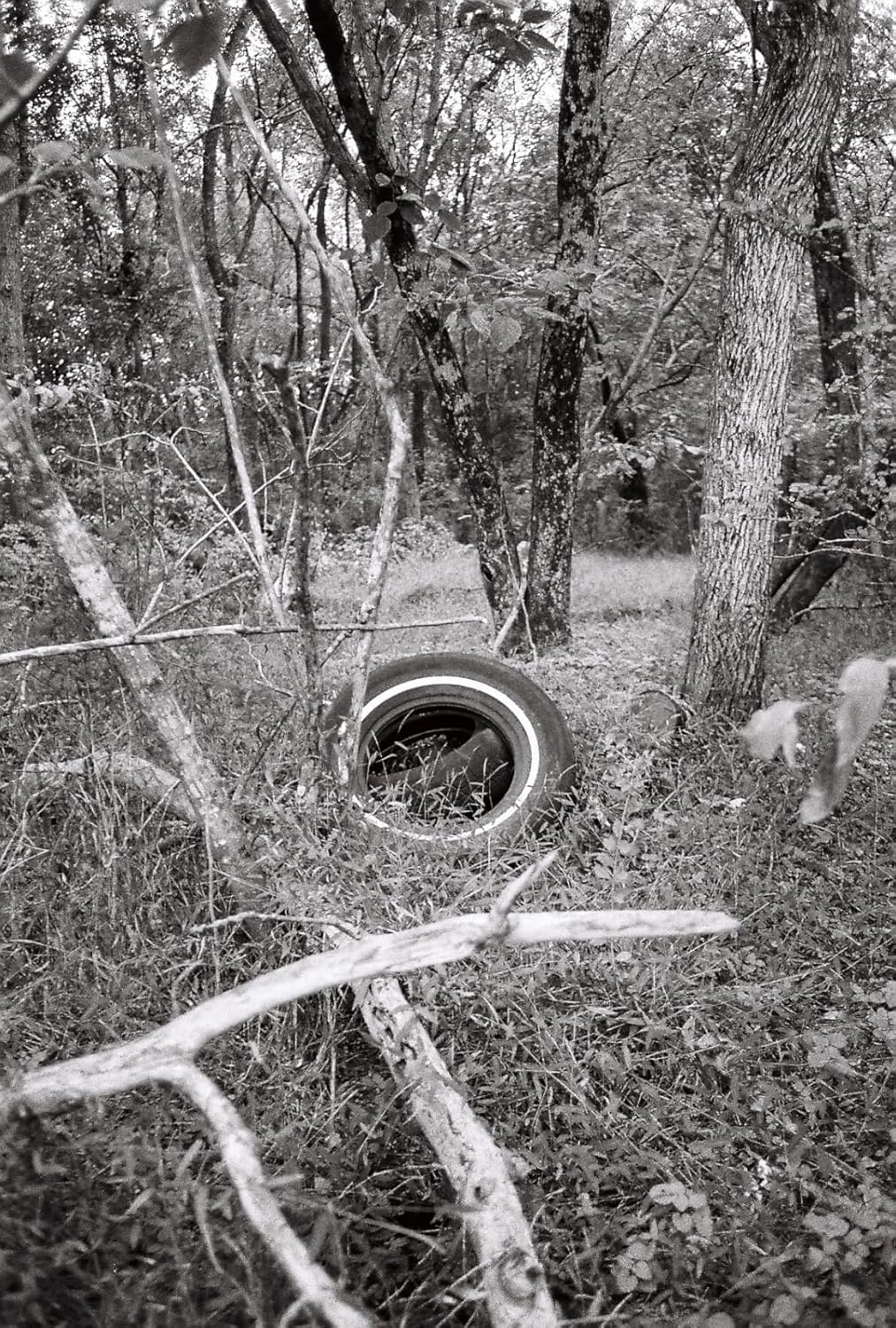 Fine Grain Nuance — Pincary ISO100 35 mm Film for Daylight Landscapes, Black and White 35mm, Scan Friendly Enlargements, Tripod Friendly Detail, DX 24x36mm, 36EXP - 6Pack