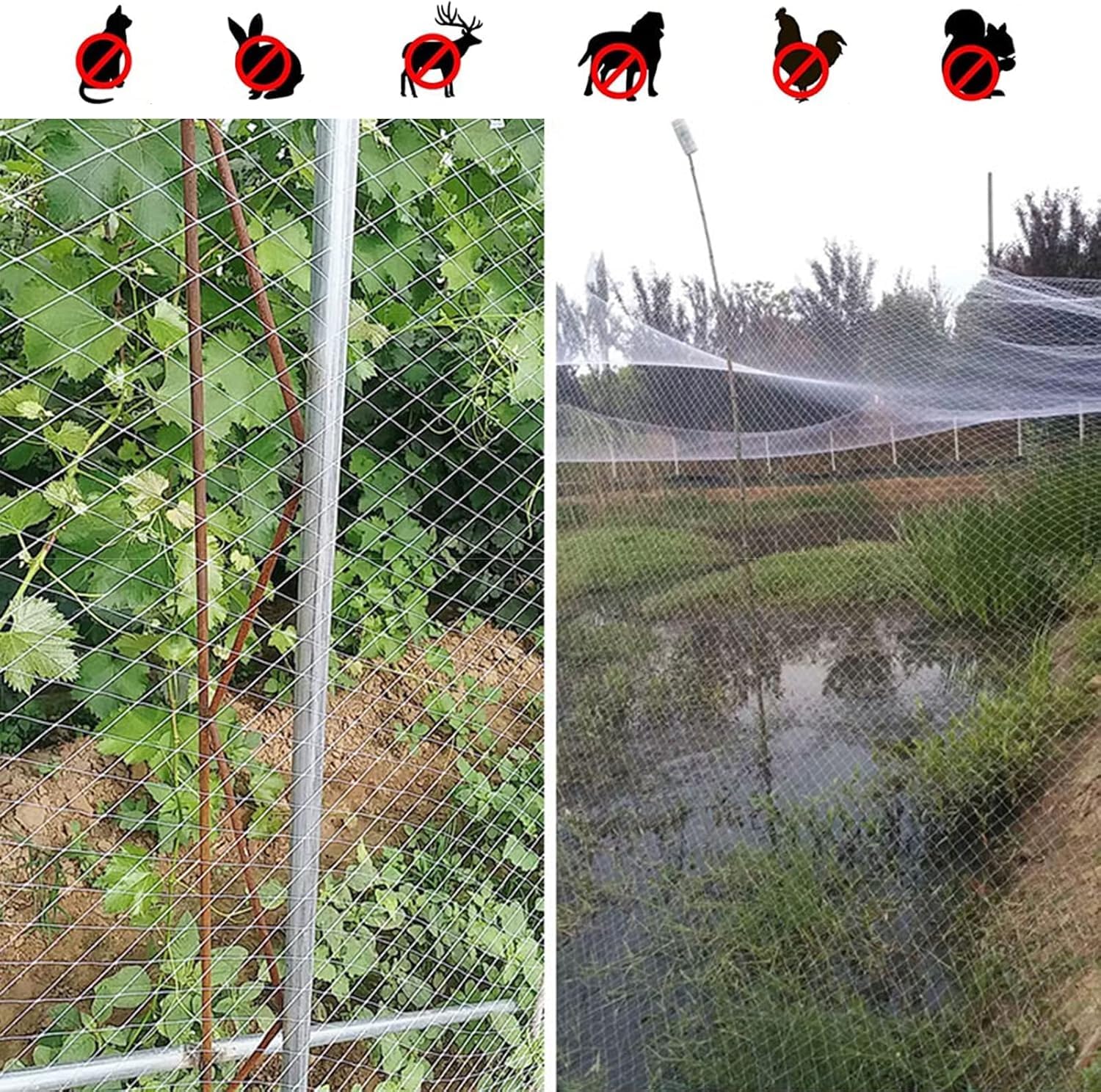 Rete da giardino (rete commerciale for uccelli for piante/alberi frutto/fragole) recinzione in plastica resistente bianca barriera for animali(7x7m/23x23ft)