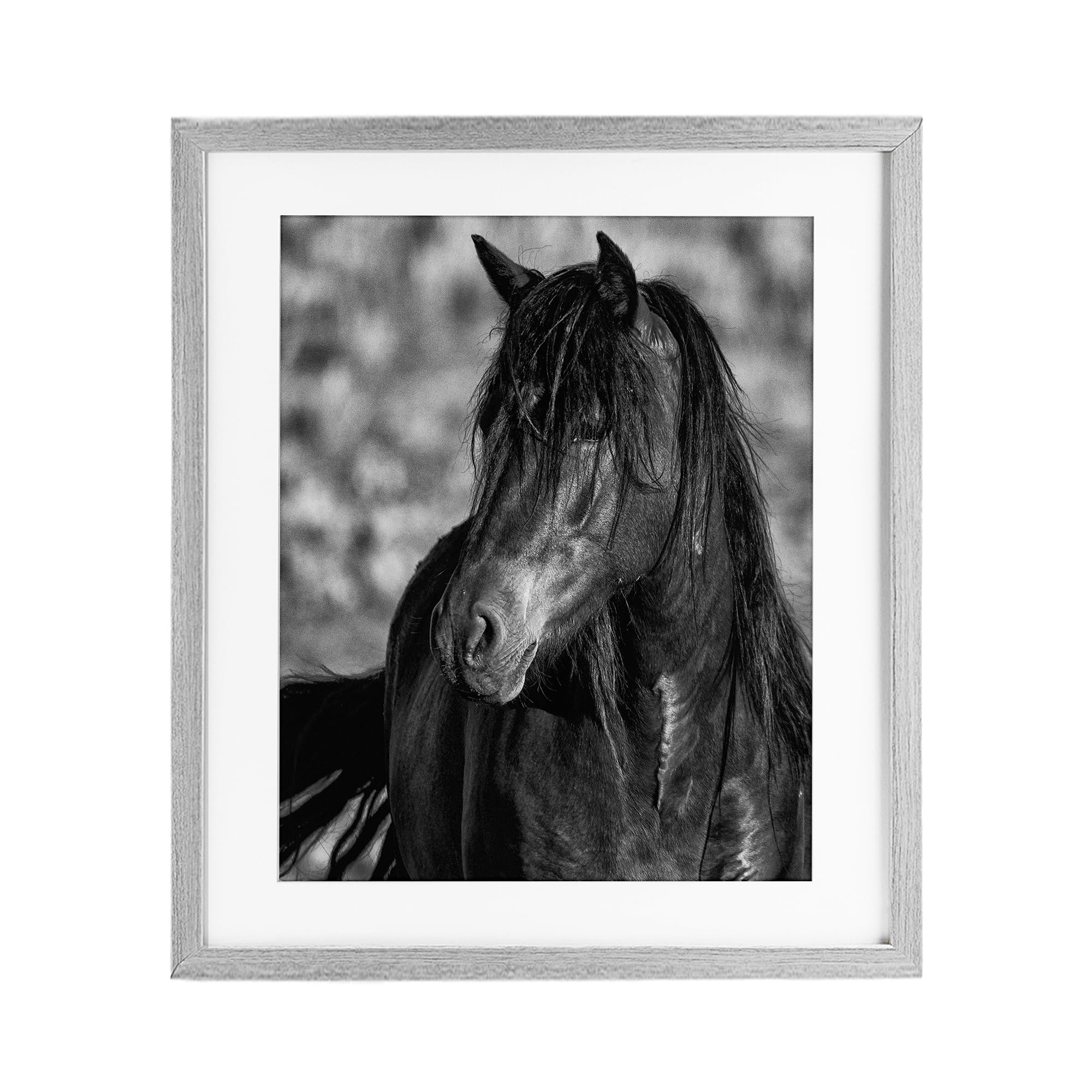 Stupell Industries Farmhouse Gray (Textured) 'Beauty In Black'| Framed Print Under Glass