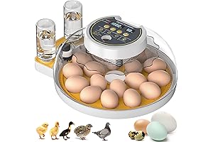 Panoramic Chicken Egg Incubator with Automatic Turning and Humidity