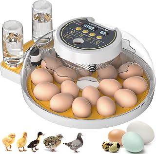 Onsju 18-Egg Incubator: Auto Turning, Humidity Control & Temp Alarm for Chicken Duck Hatching - Home Farm Classroom