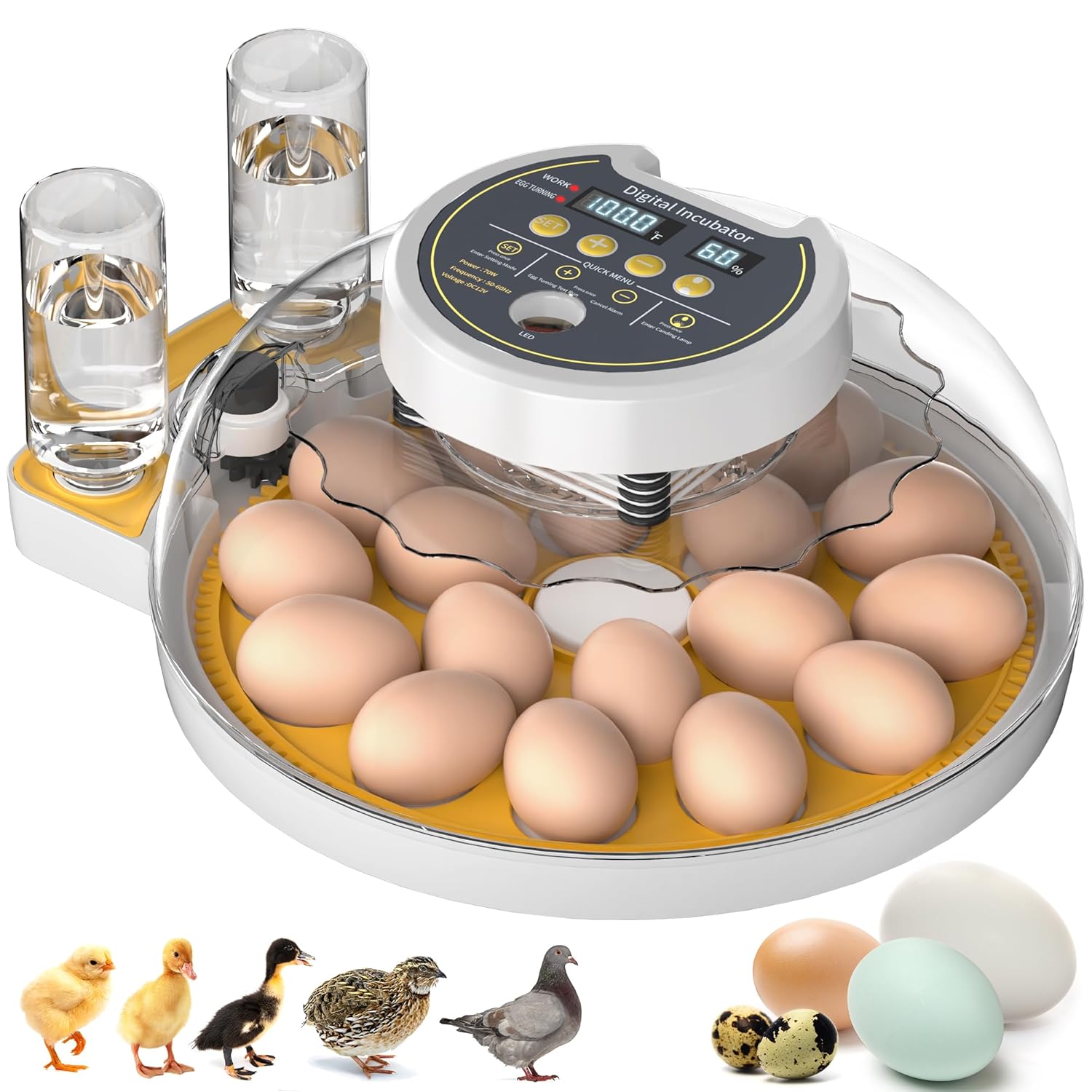 Onsju 18-Egg Incubator: Auto Turning, Humidity Control & Temp Alarm for Chicken Duck Hatching - Home Farm Classroom