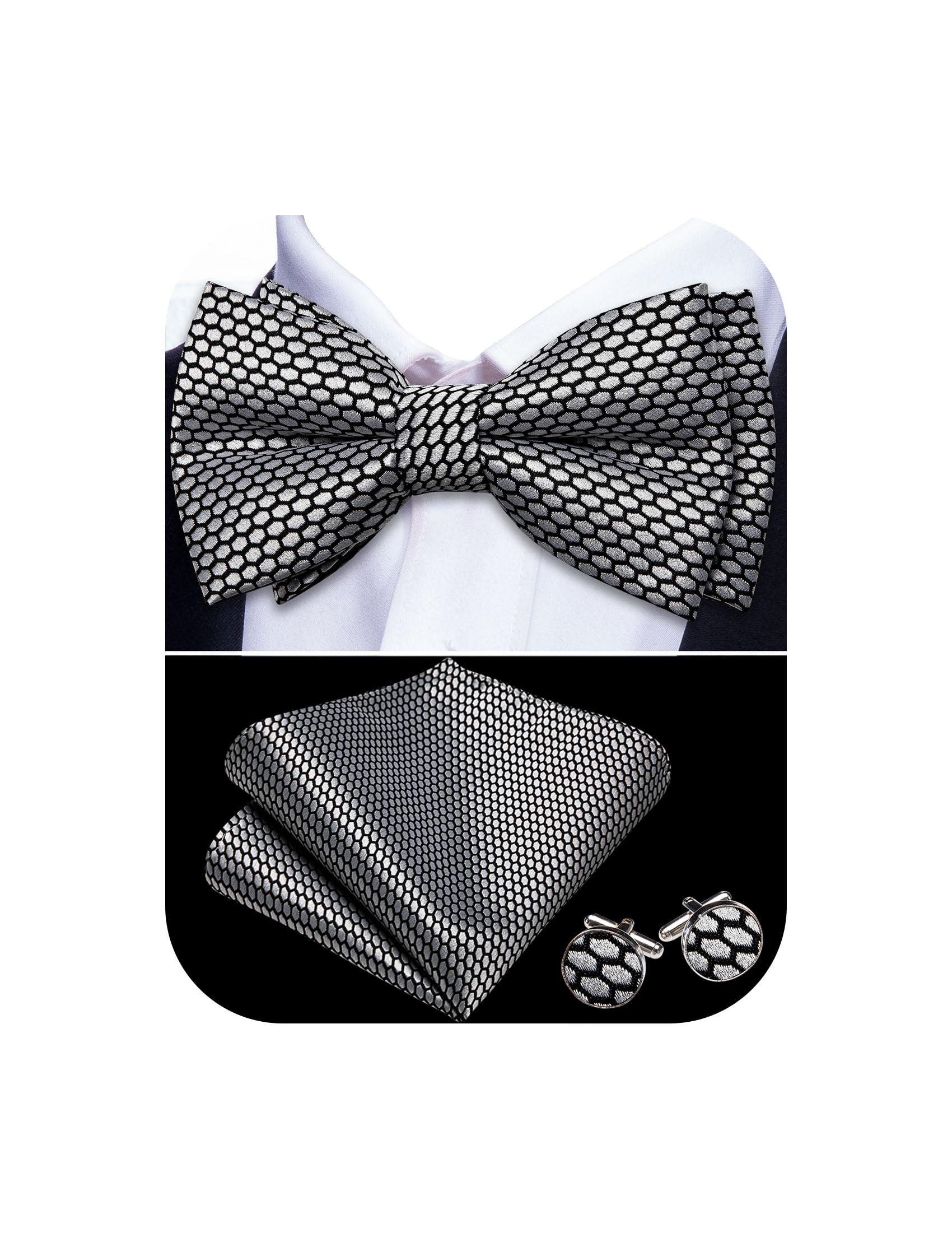 Barry.Wang Paisley Striped Bow Tie for Men Silk Pre-Tied Bowtie Set