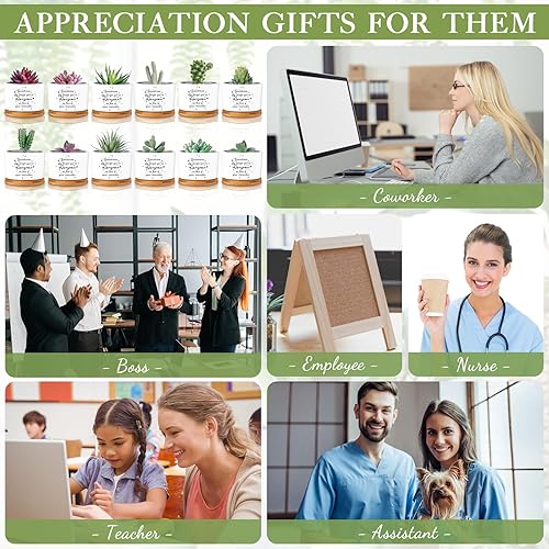 Miniatura 3 de 12 macetas inspiradoras para suculentas, regalos de agradecimiento a los empleados, regalos a granel para mujeres, compañeros de trabajo,