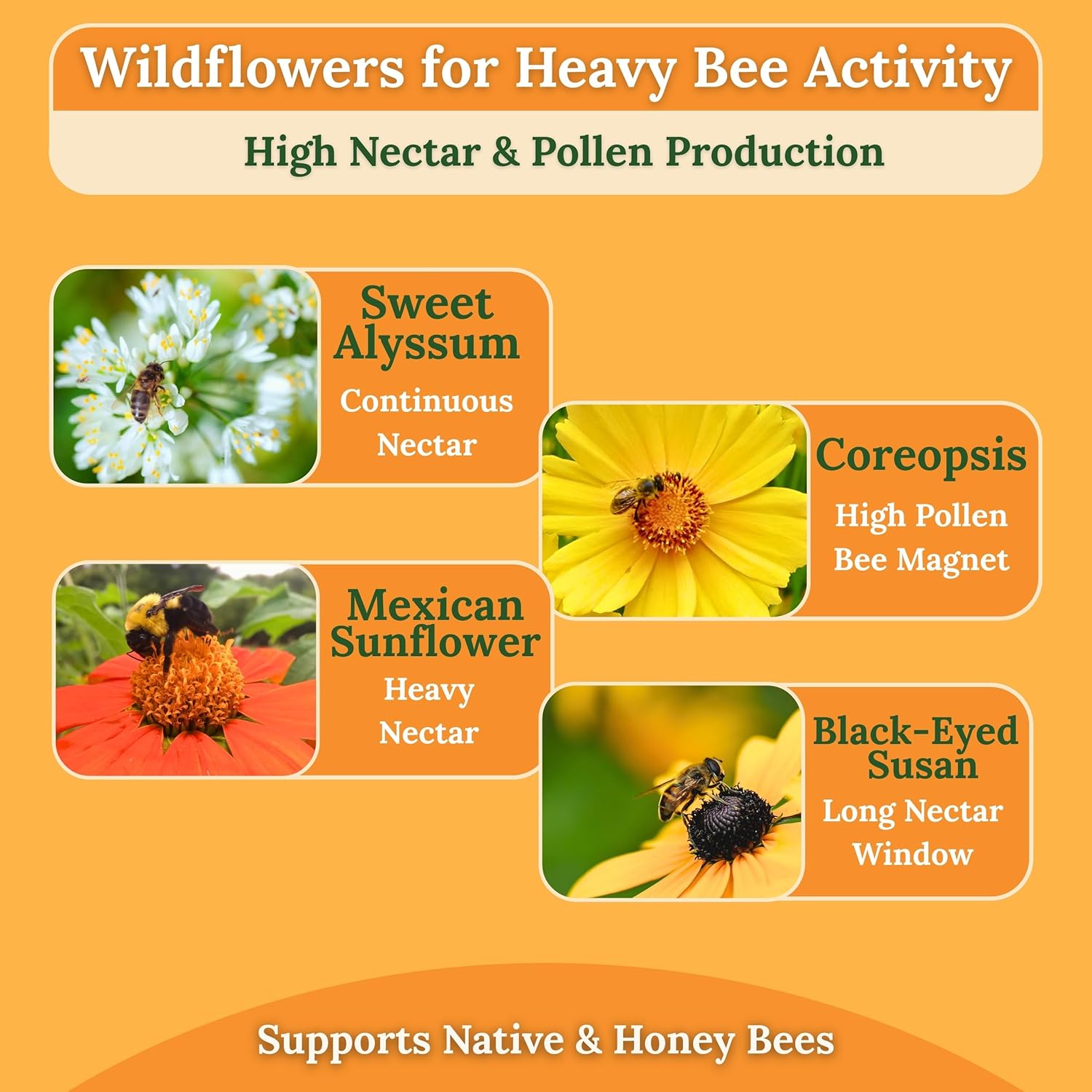 Wildflower Seeds for Bees & Butterflies – 22 Variety Pollinator Mix – 160,000+ Seeds – 4 oz Annual & Perennial Blend