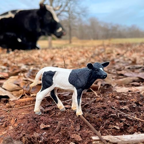 Miniatura 2 de Safari Ltd. Holstein Figura de ternero – Figura detallada de plástico de 3.25 pulgadas – Divertido juguete educativo para niños, niñas y niños a