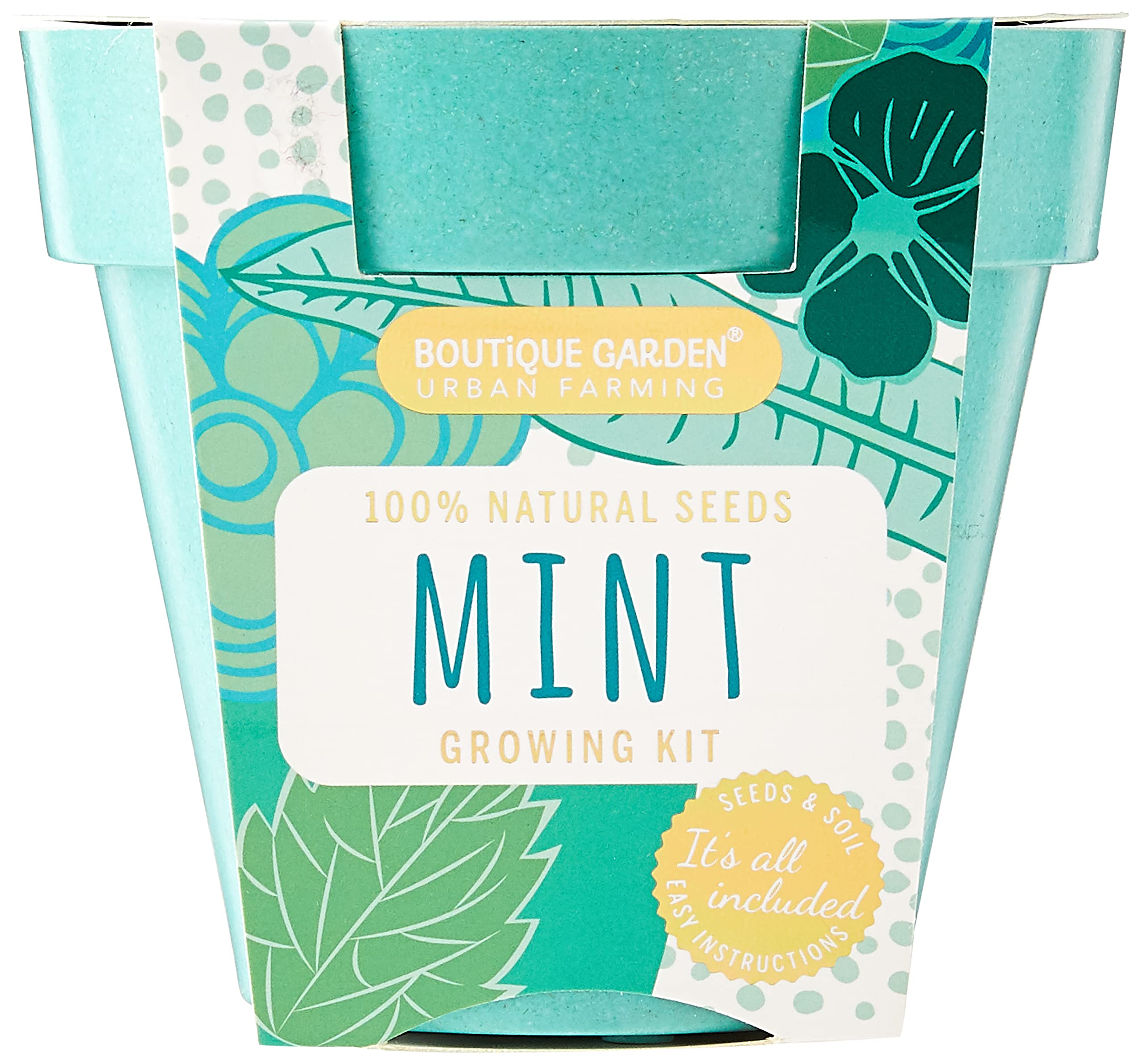 Paris Garden Natural Seeds Mint Growing Kit for Flowers