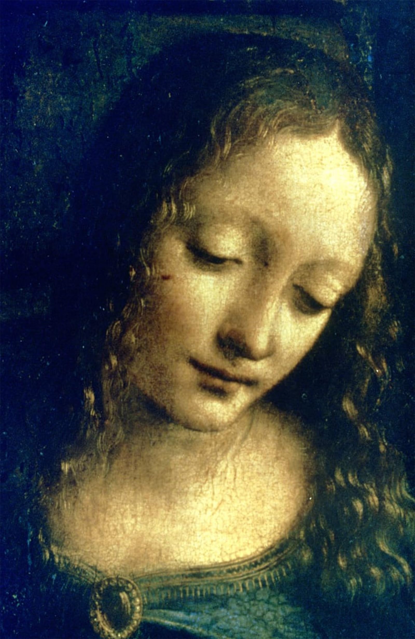 POSTERIIk Famous Animal Posters Vintage Picture Lady of the Rocks Detail by Leonardo Da Vinci Modern Wall Decor for Home Decor 60x90cm