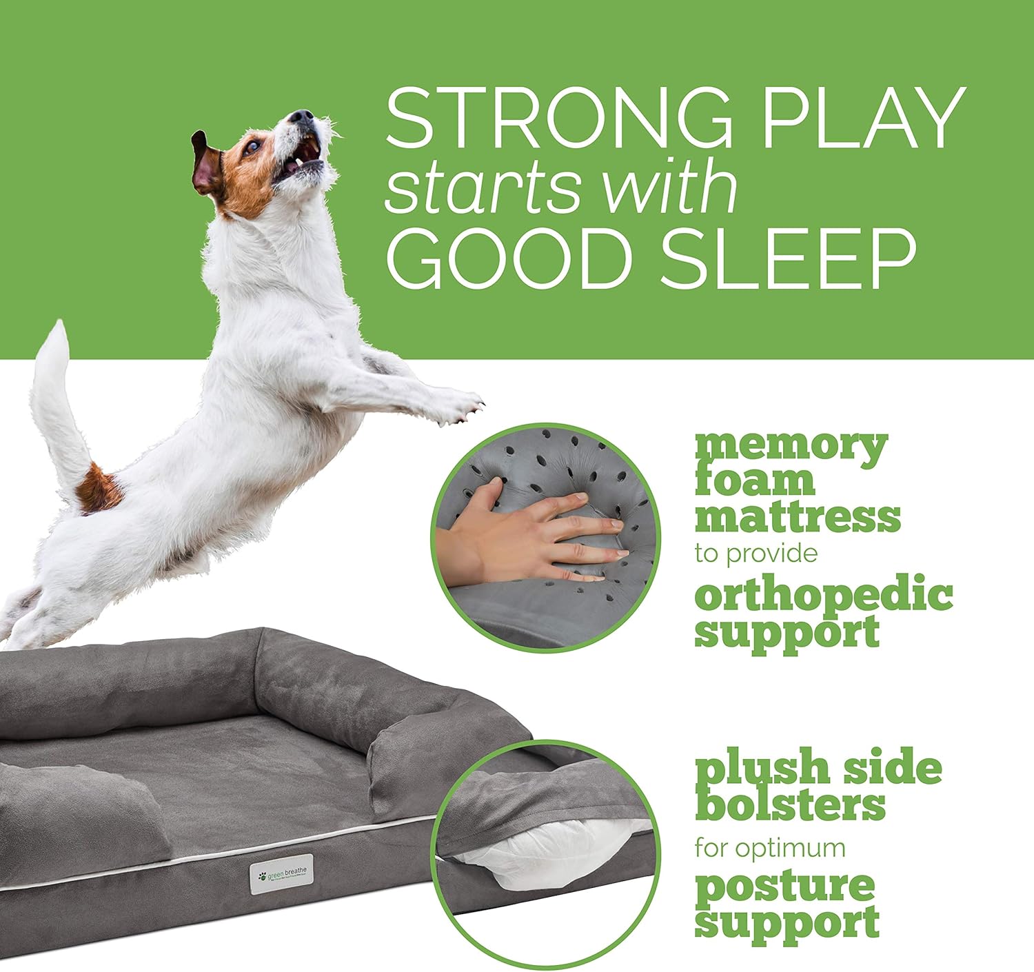 Odor Free Dog Bed | Luxury Memory Foam with Natures Activated Charcoal Odor Remover | Miracle Small Dog Bed [20" x 25"] | Water and Chew Resistant