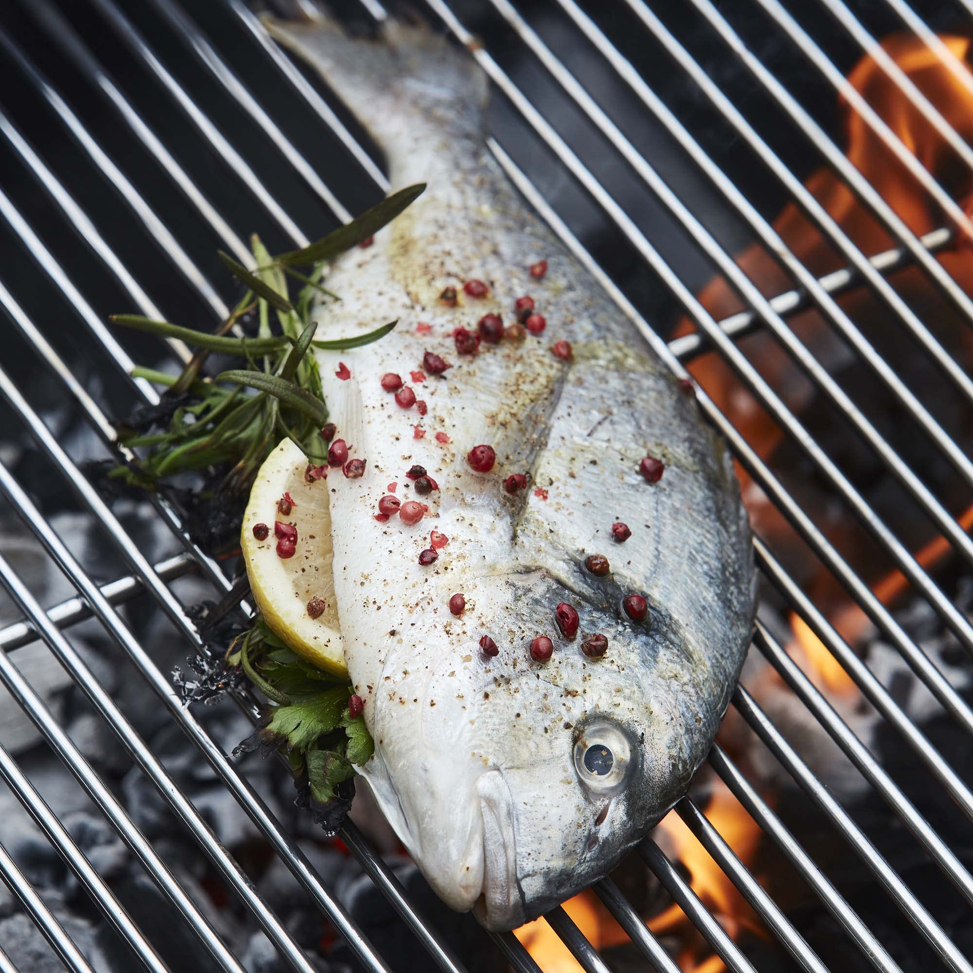 Barbecook Parrilla Profesional, Gris, 90x54x3 cm, 2234090055