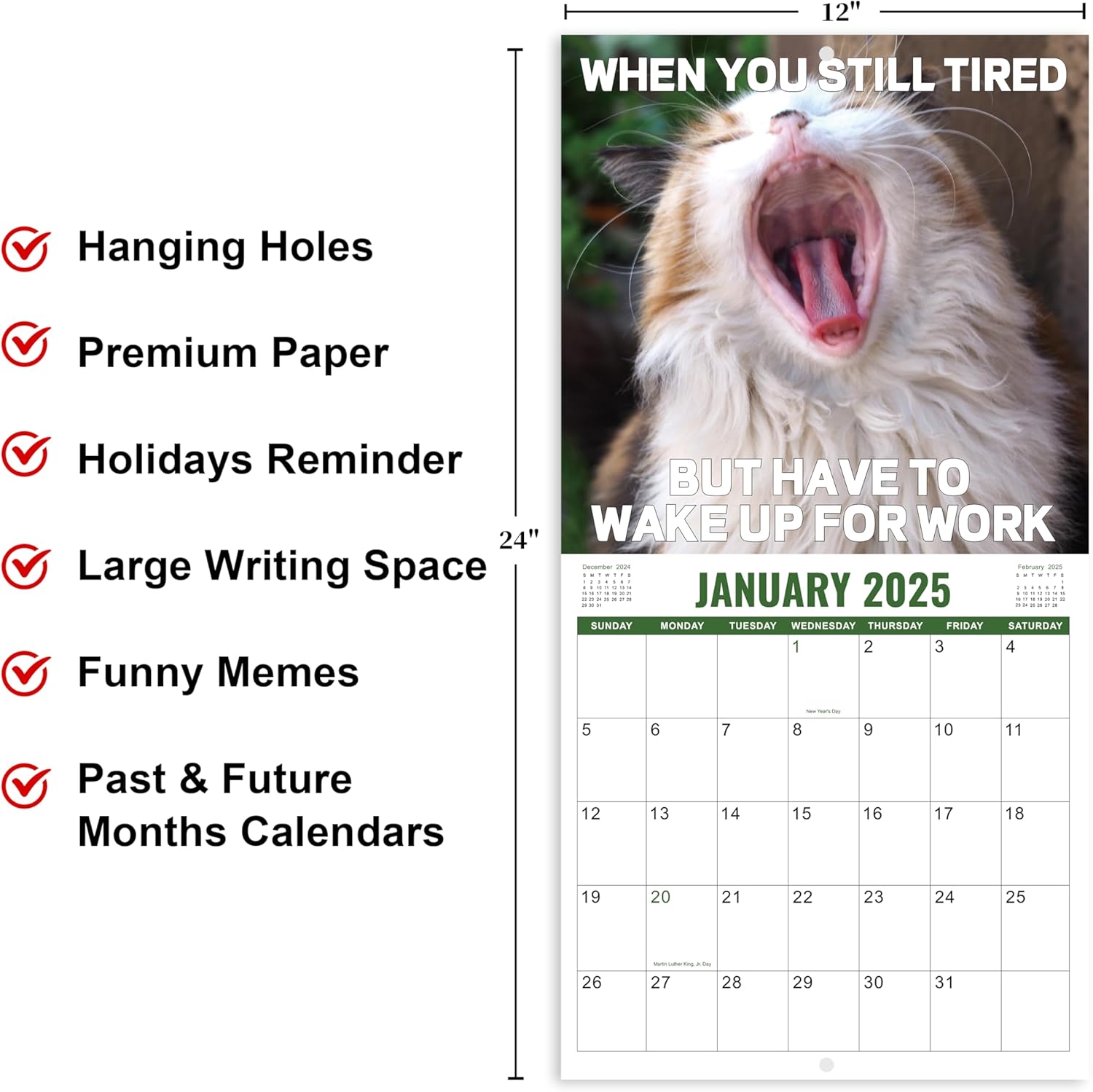 2025 Wall Calendar - Funny Calendar 2025 with Animal Liberia | Ubuy