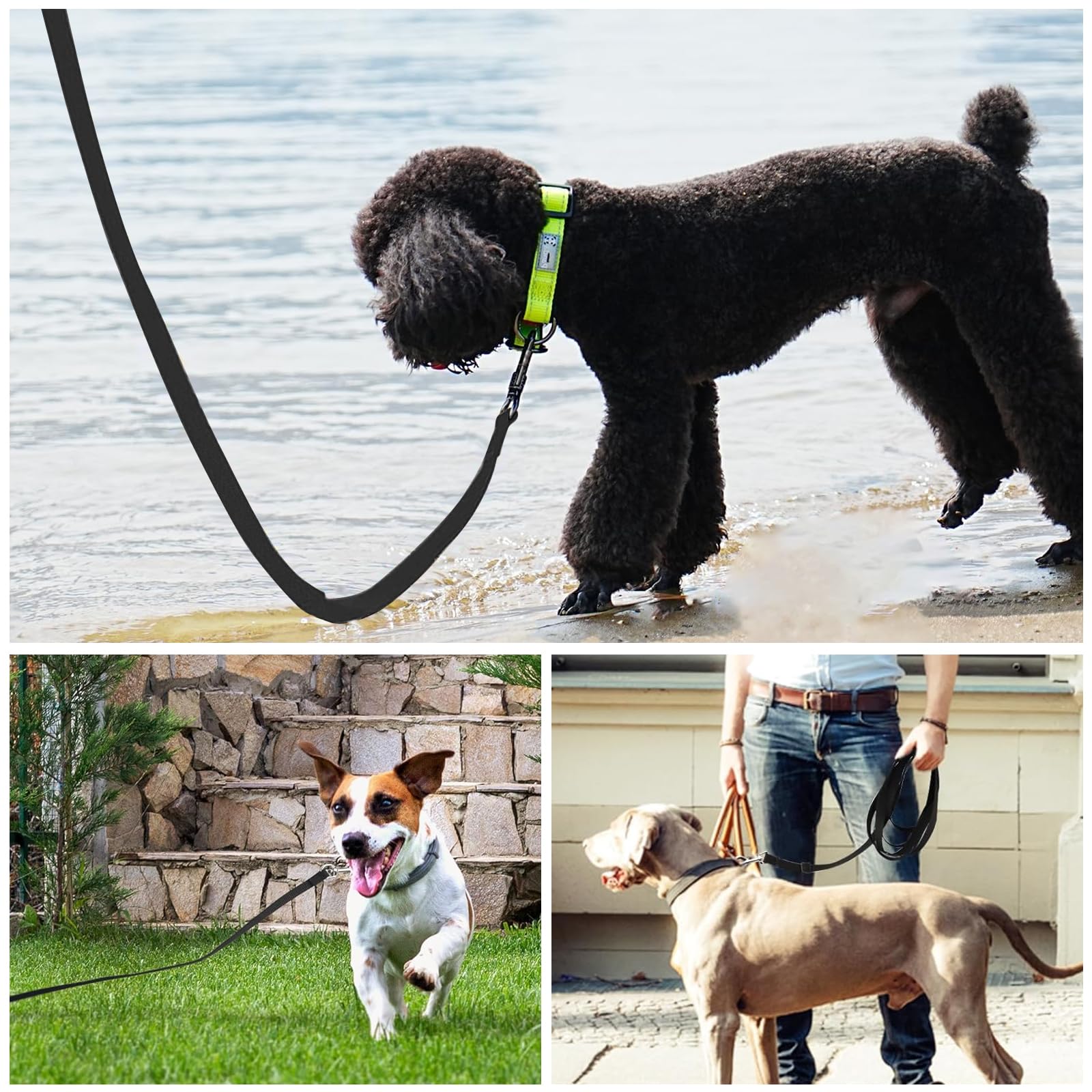 Lunghina Chien Laisse d'entraînement pour Chiens de Toutes Tailles, Longueurs jusqu'à 10 mètres, idéale pour l'entraînement et l'utilisation en Plein air