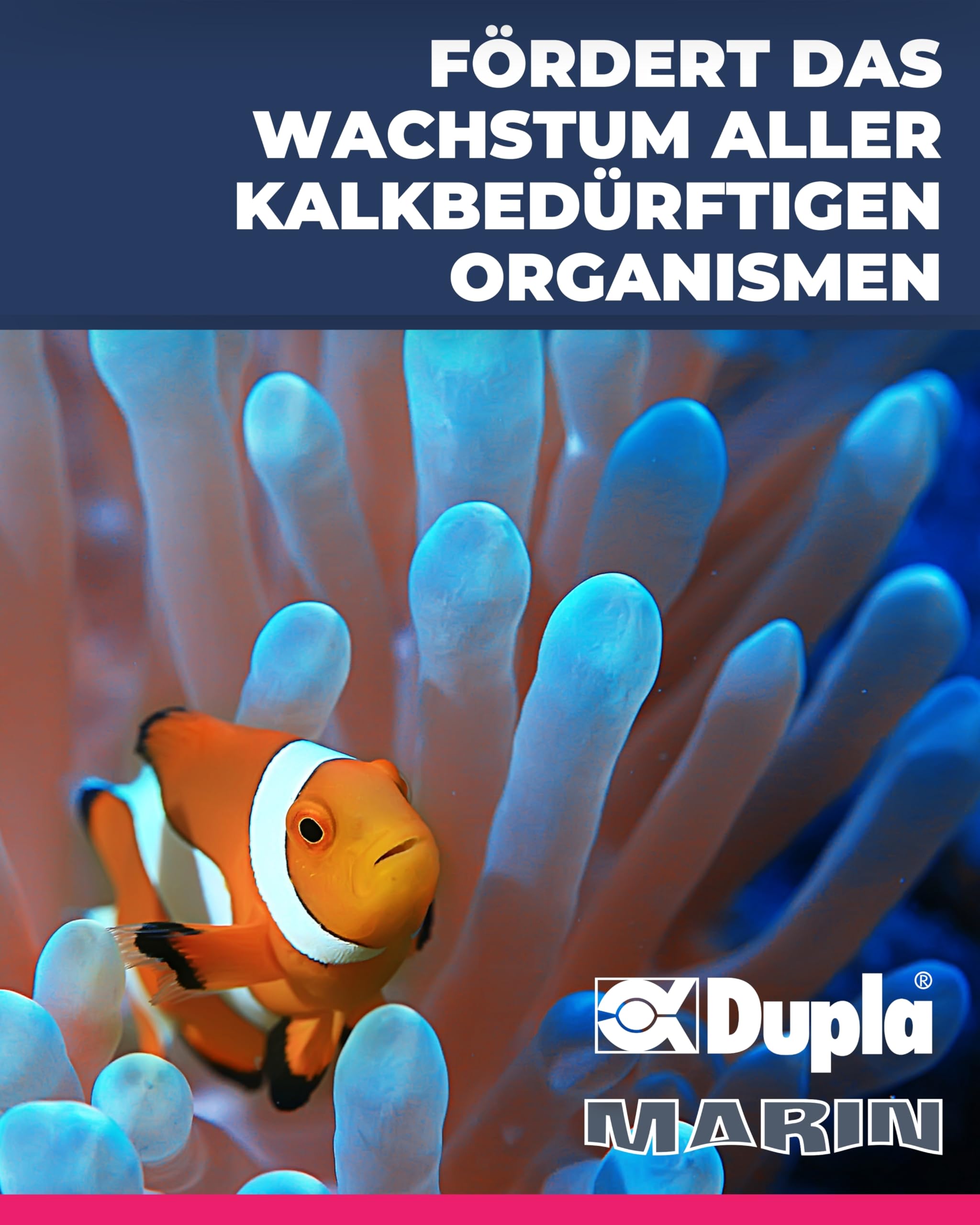 Dupla KH+ Liquid 5.000 ml - Flüssiger Karbonatbildner für stabilen pH-Wert - Effiziente Wasseraufbereitung für Ihr Aquarium - Fördert das Korallenwachstum - Für Meerwasseraquarien geeignet