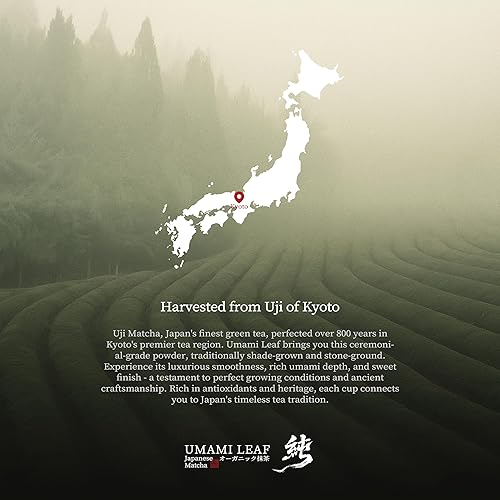 Miniatura 3 de Umami Leaf Té Verde Matcha Orgánico de Grado Ceremonial Japonés - 100% Polvo de Té Verde Puro, Certificado USDA, Primera Cosecha, Origen Auténtico