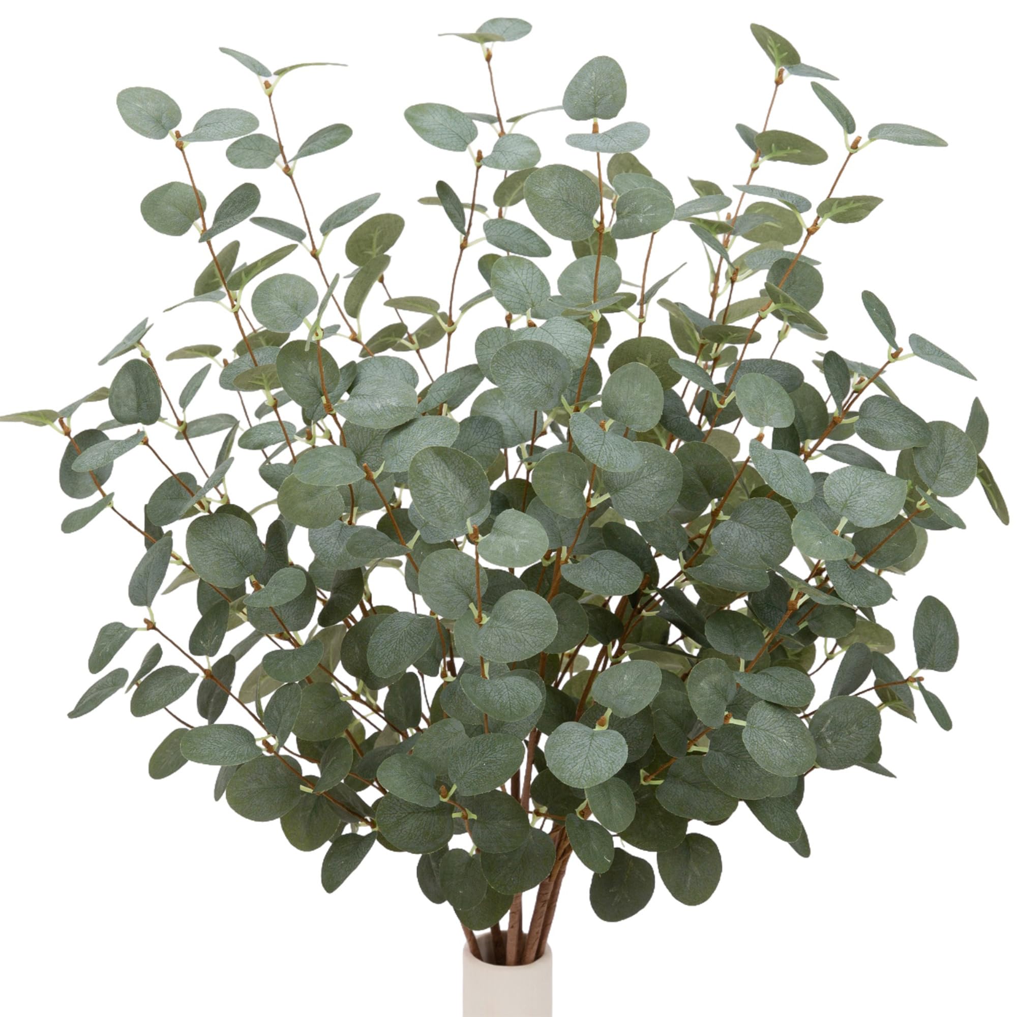 Photo 1 of VGIA 12 Pcs 27" Eucalyptus Stems Greenery