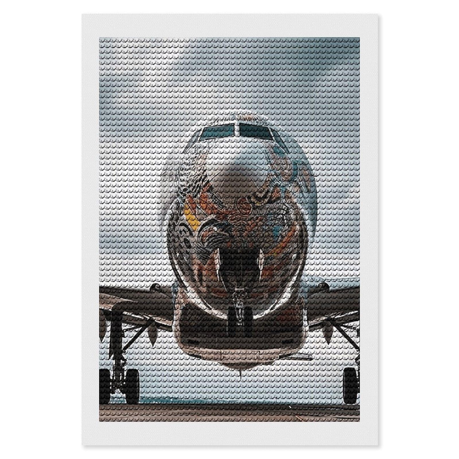 NONHAI Diamond Painting Kits for Adults - DIY Diamond Art Kits for Beginners - Full 5D Paint Drill Diamond Dots Paintings- Airplane Art Diamonds Pictures Gem Art and Craft Wall Decor 8"x12"