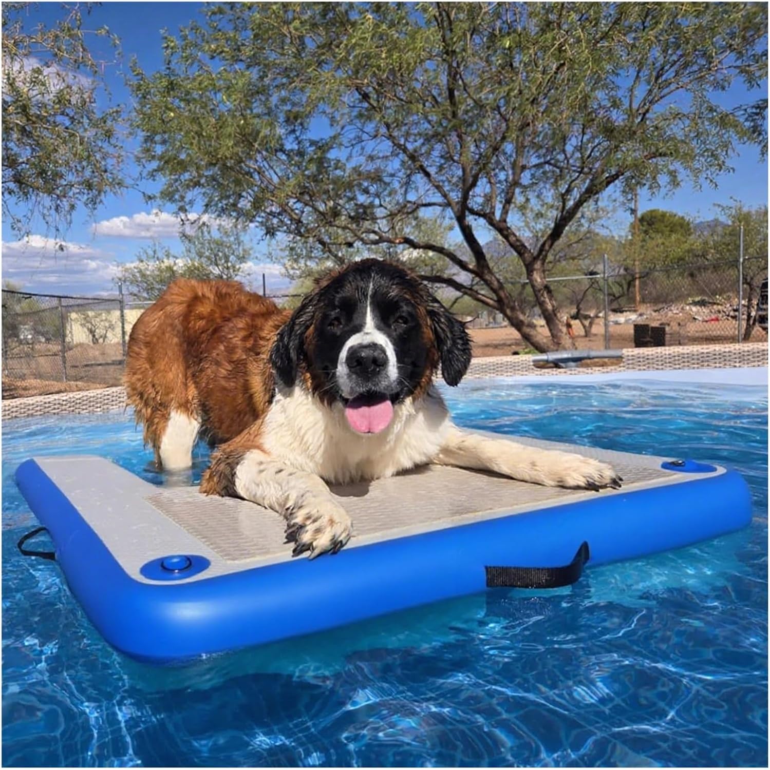 Pet Dock Platform for Extra Large Dogs, Dog Boat Ramp with 3D Step & EVA Anti Slip Pad, for Swimming Pets Up to 105kg, 1.5m Dog Floating Ladder Easy Carry & Store(Blue)