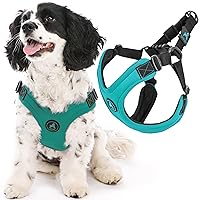 Gooby Escape Free Sport - Pettorina sportiva antifuga, in neoprene con regolazione a quattro punti