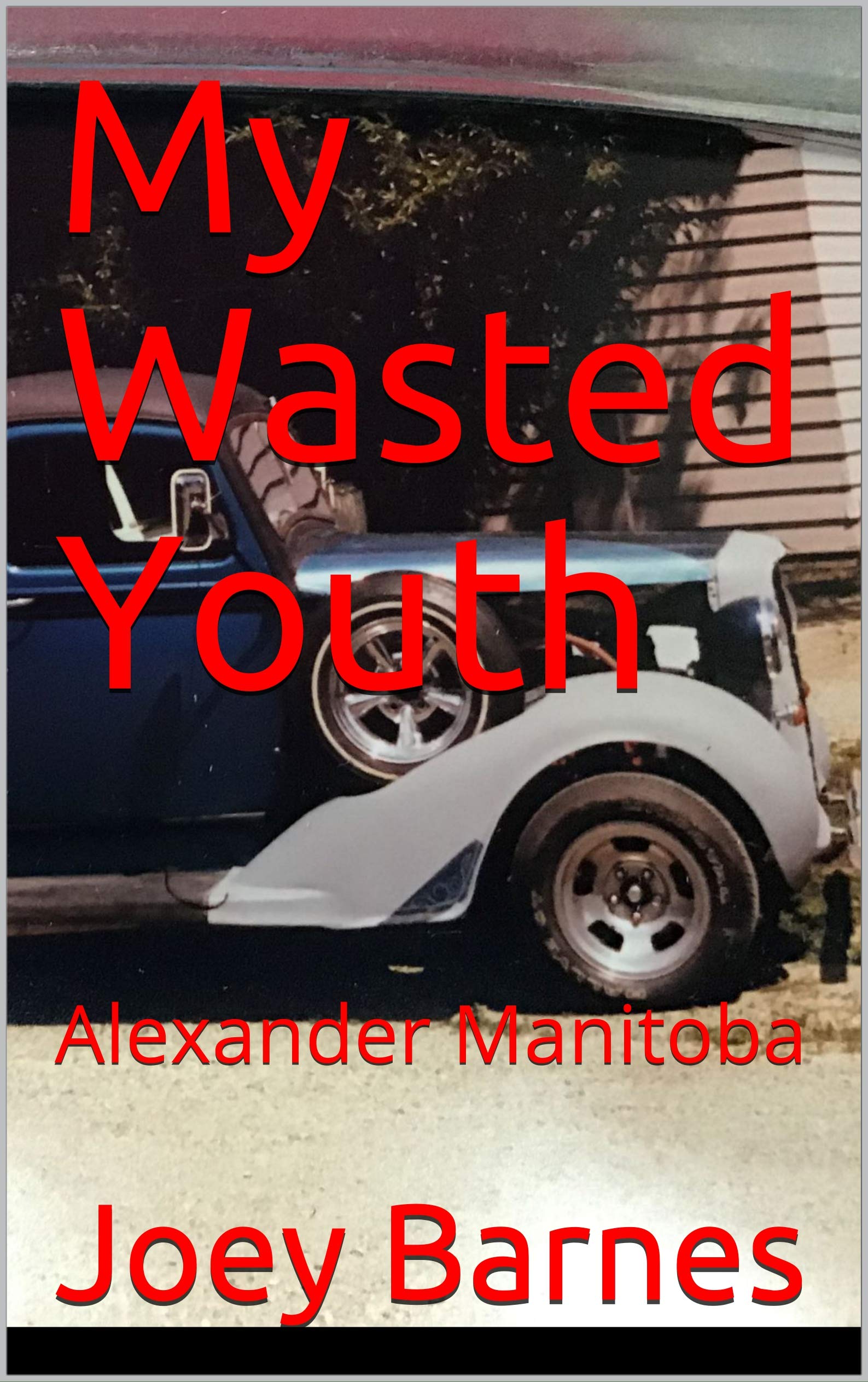 My Wasted Youth: Alexander Manitoba (Naughty Natalie Series Book 1)