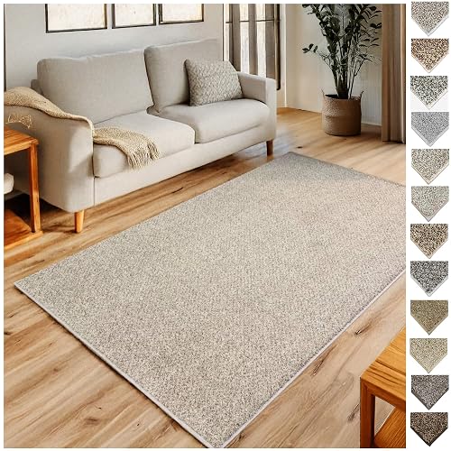 KOECKRITZ Custom Indoor Area Rug with Bound Edges